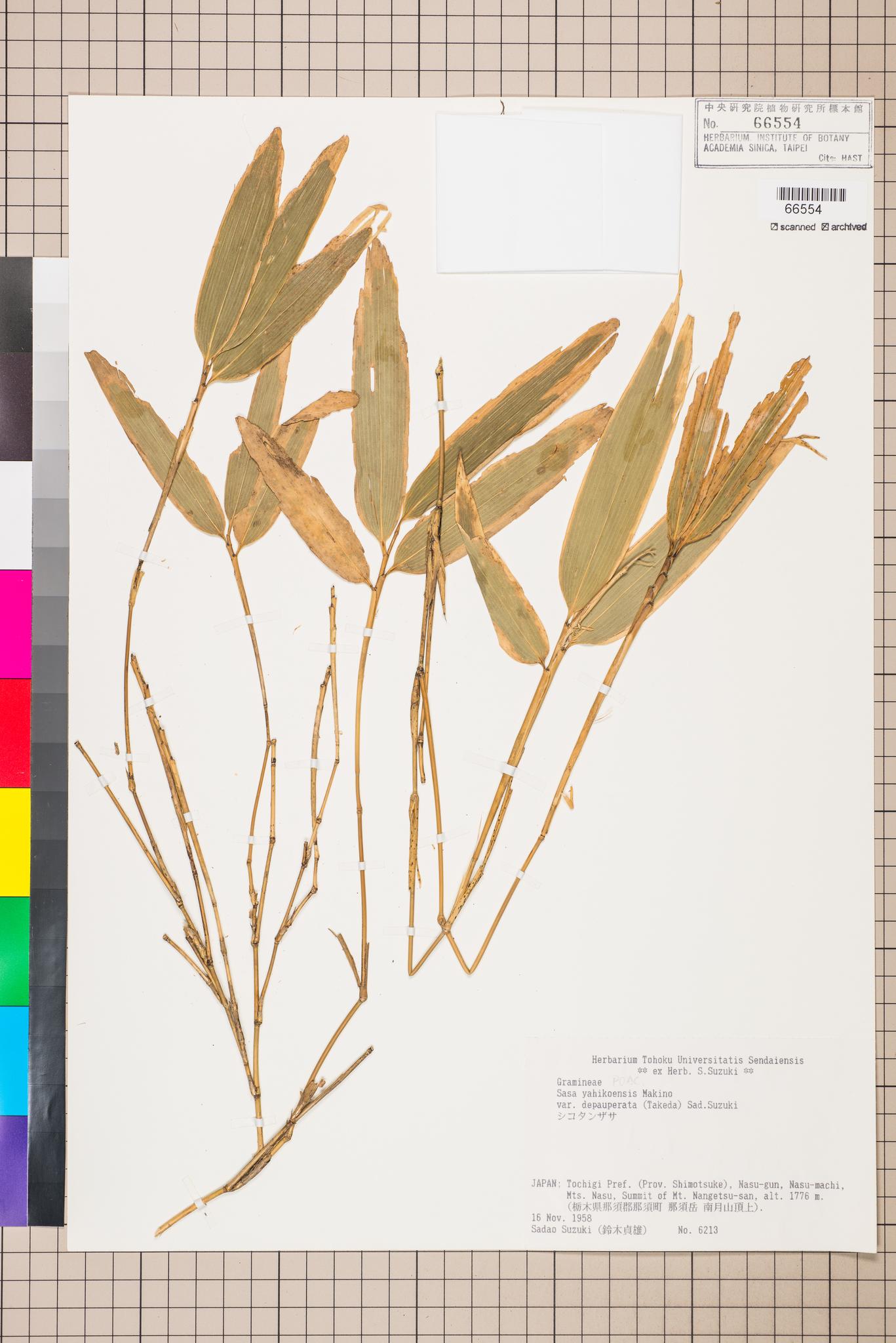 Specimen image