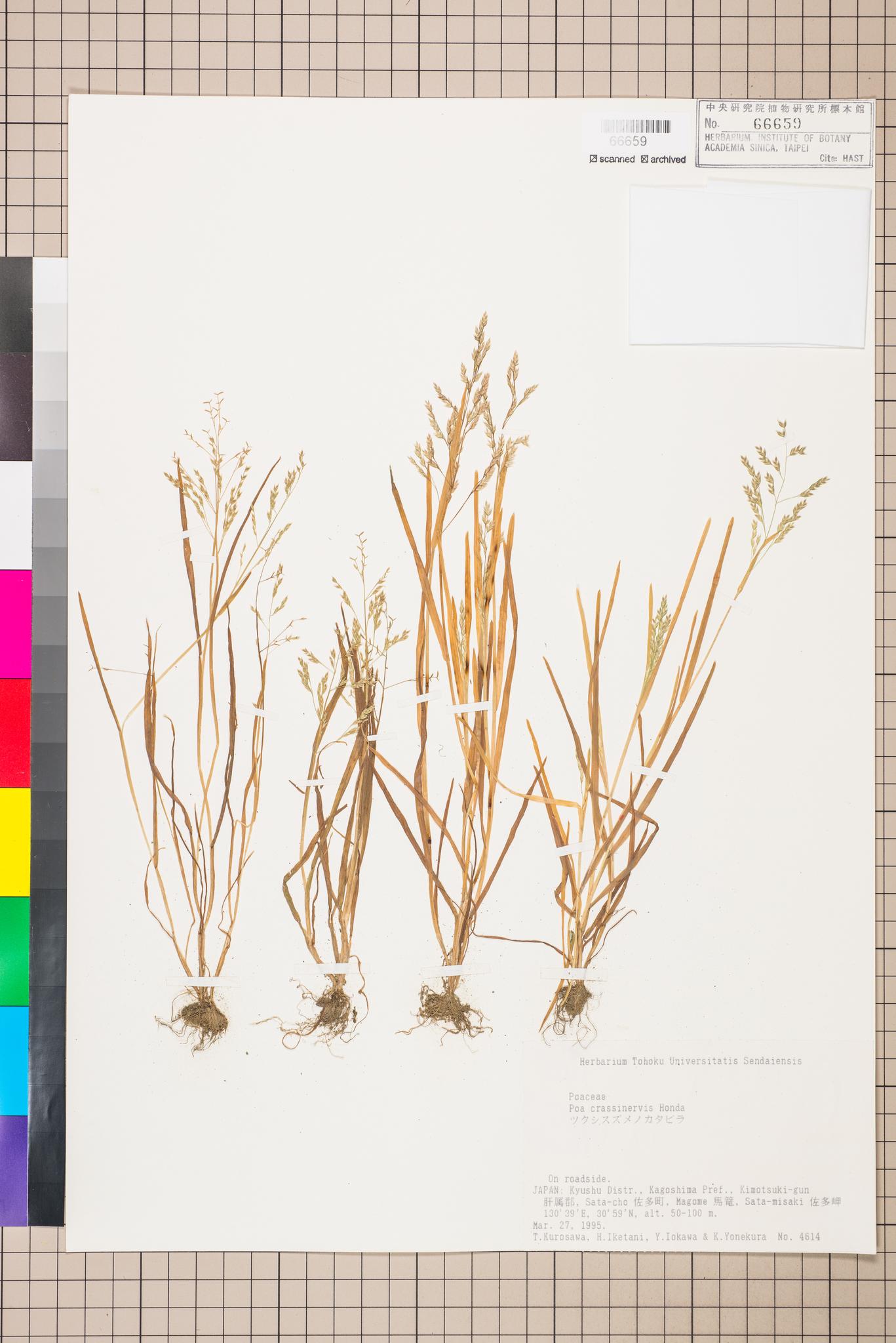 Sample image for viewer