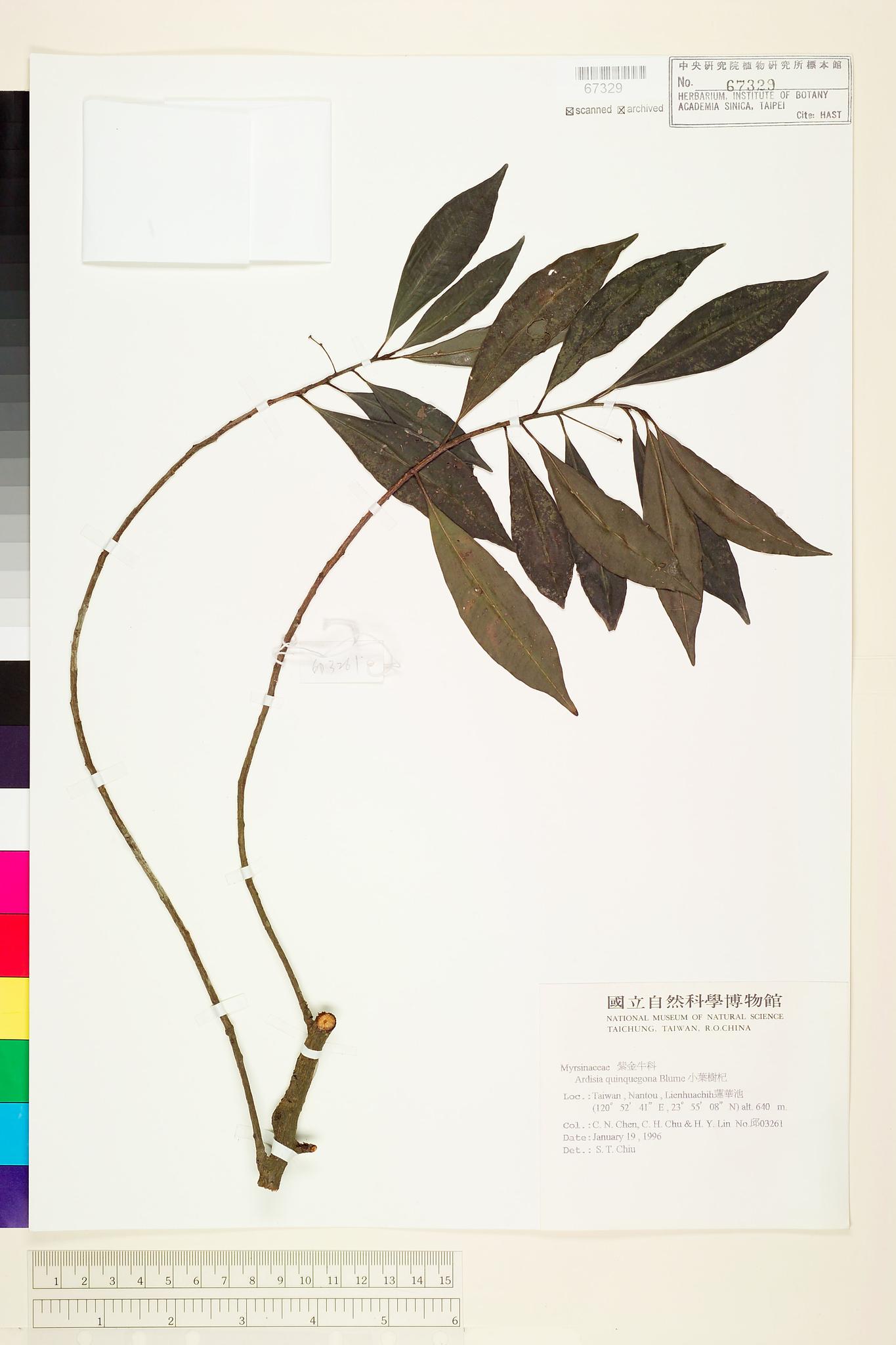 Specimen image