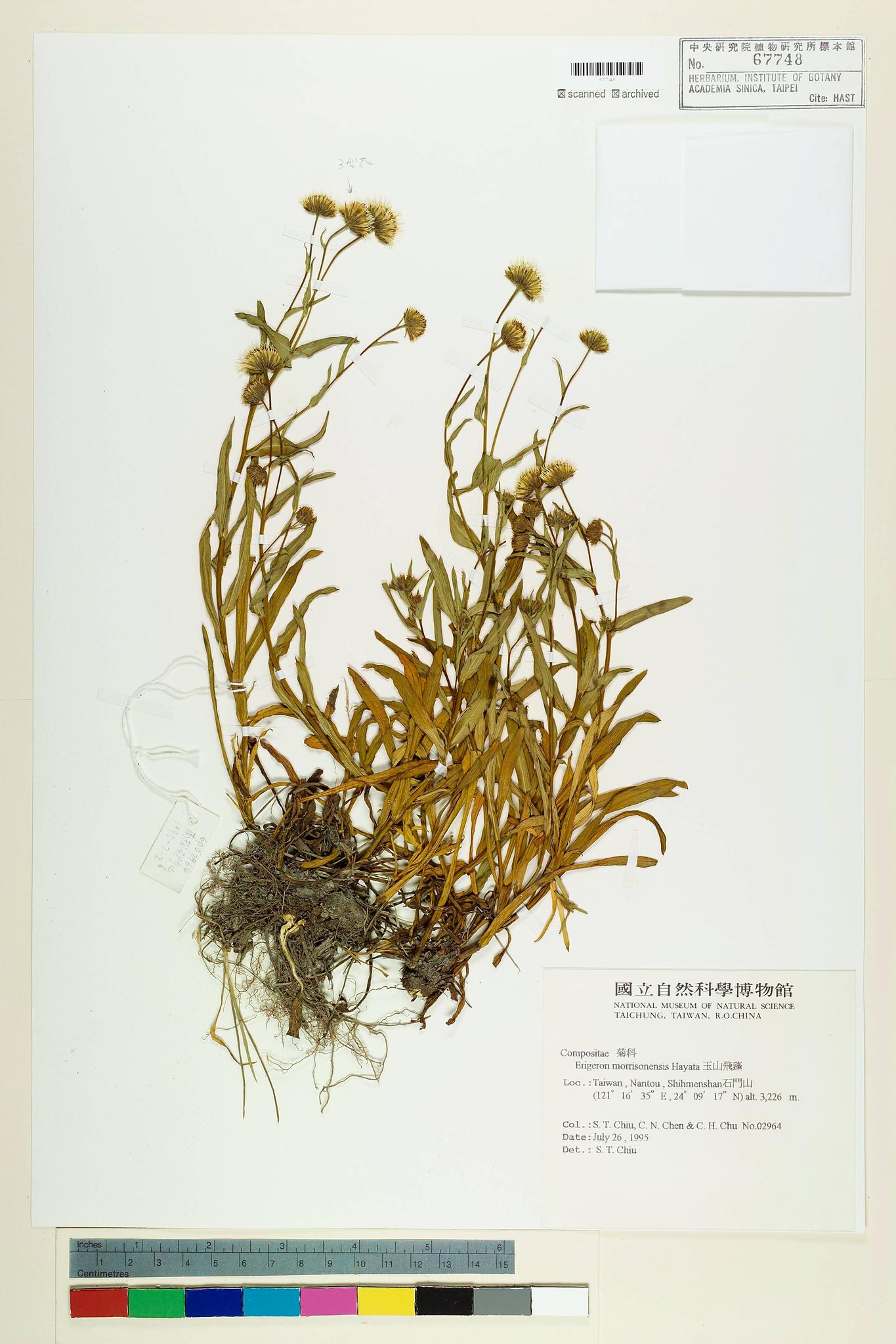 Sample image for viewer