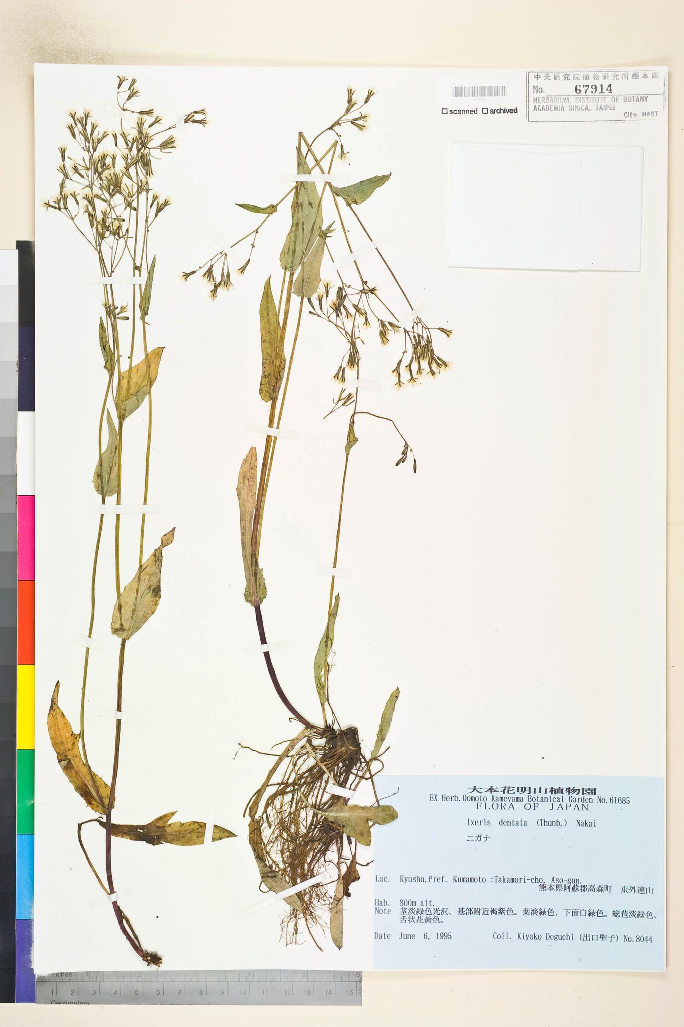 Specimen image