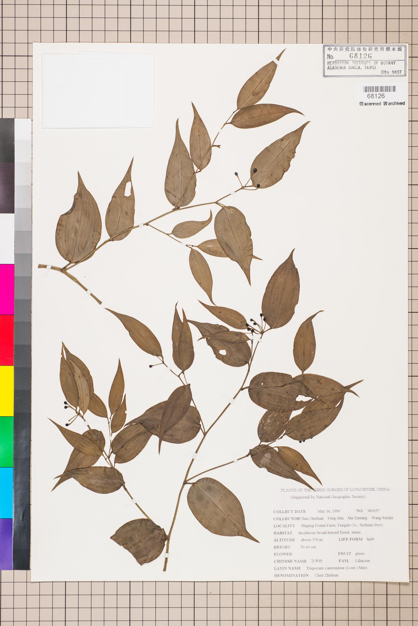 Sample image for viewer