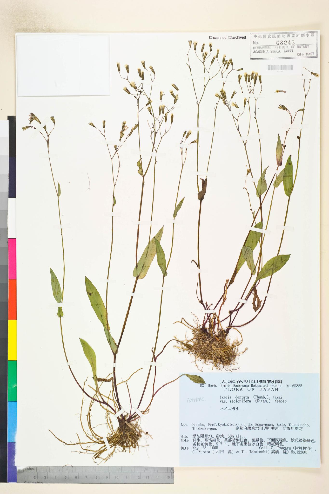 Sample image for viewer