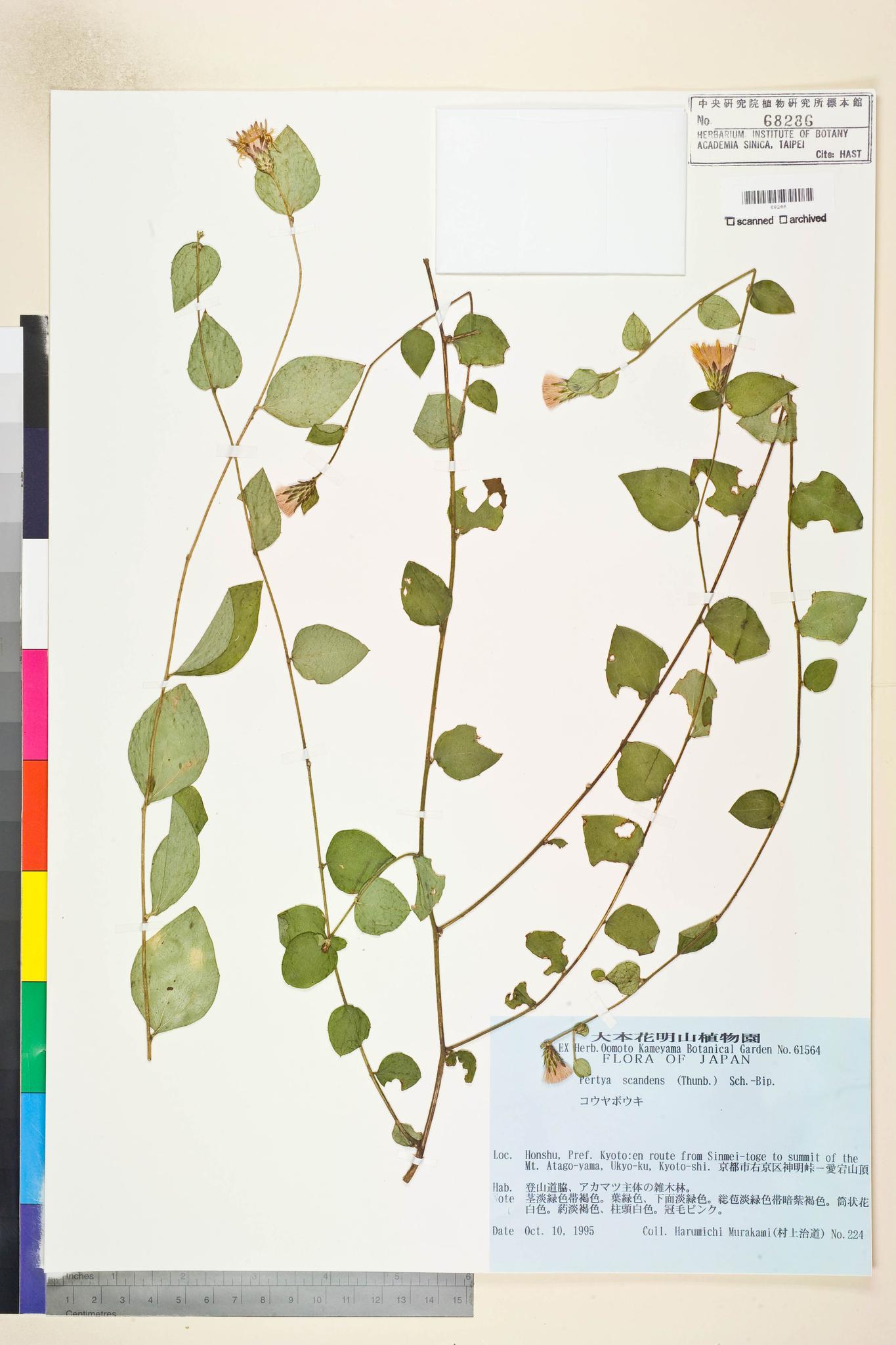 Specimen image