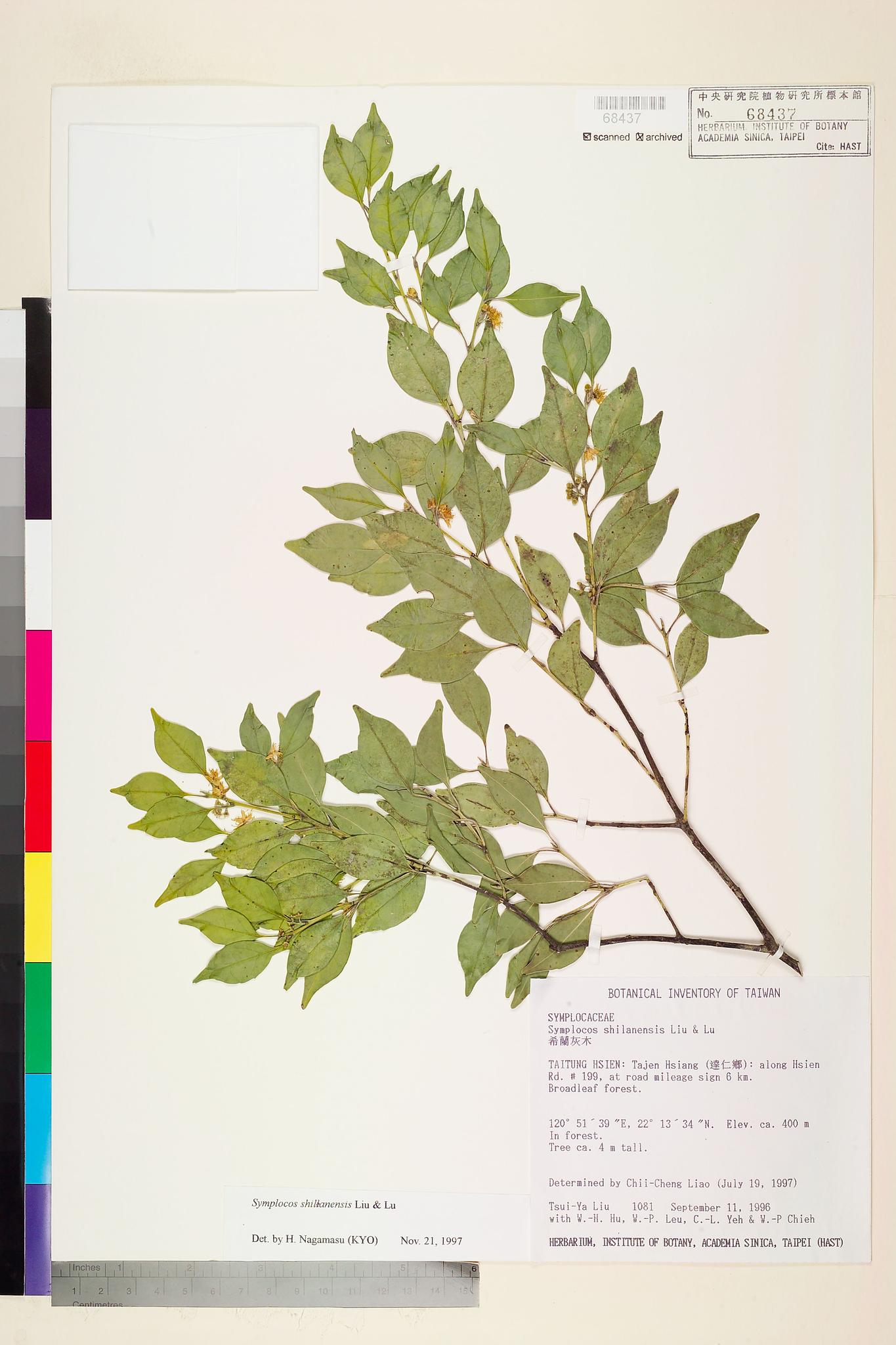 Sample image for viewer