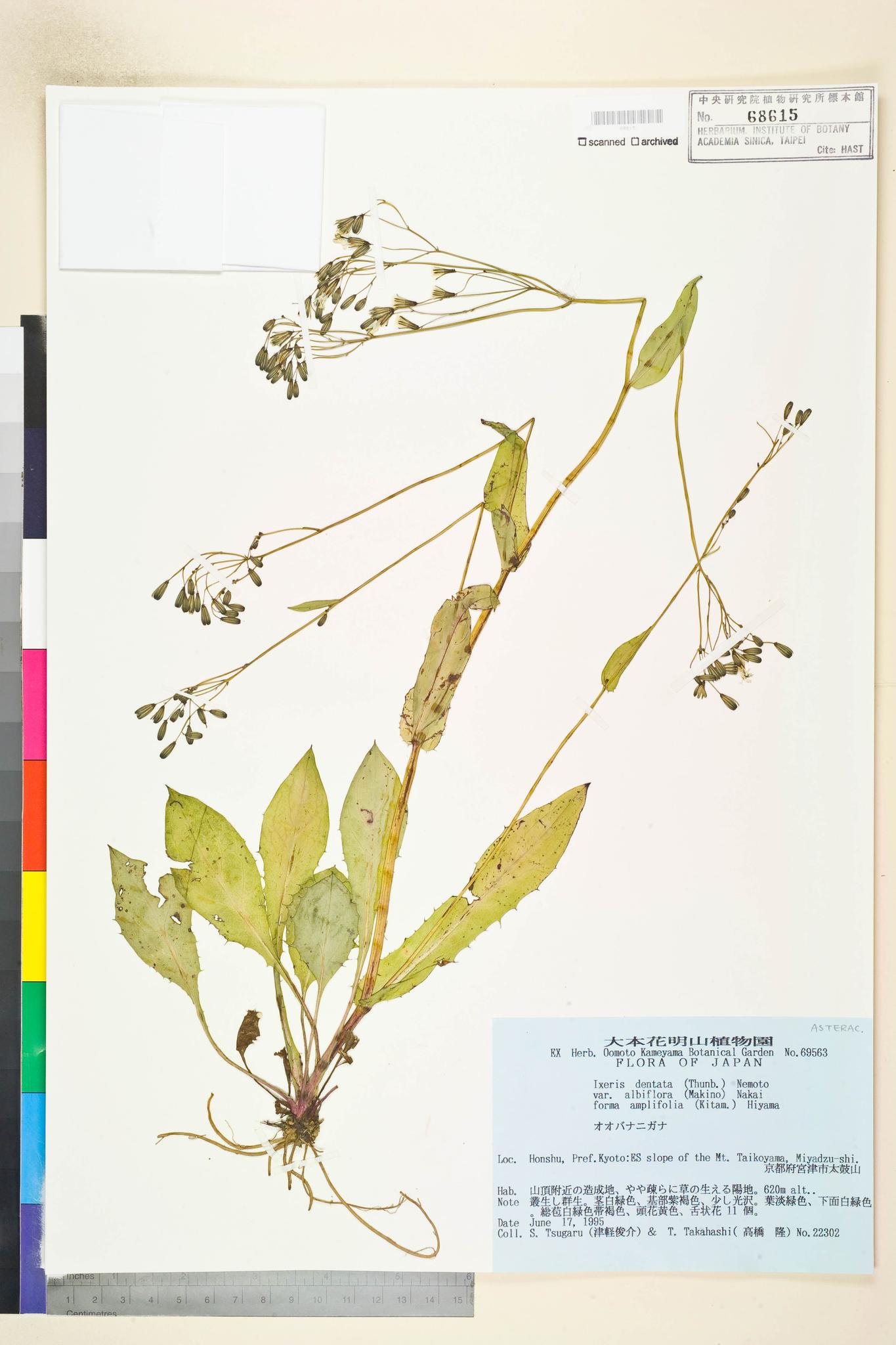 Specimen image