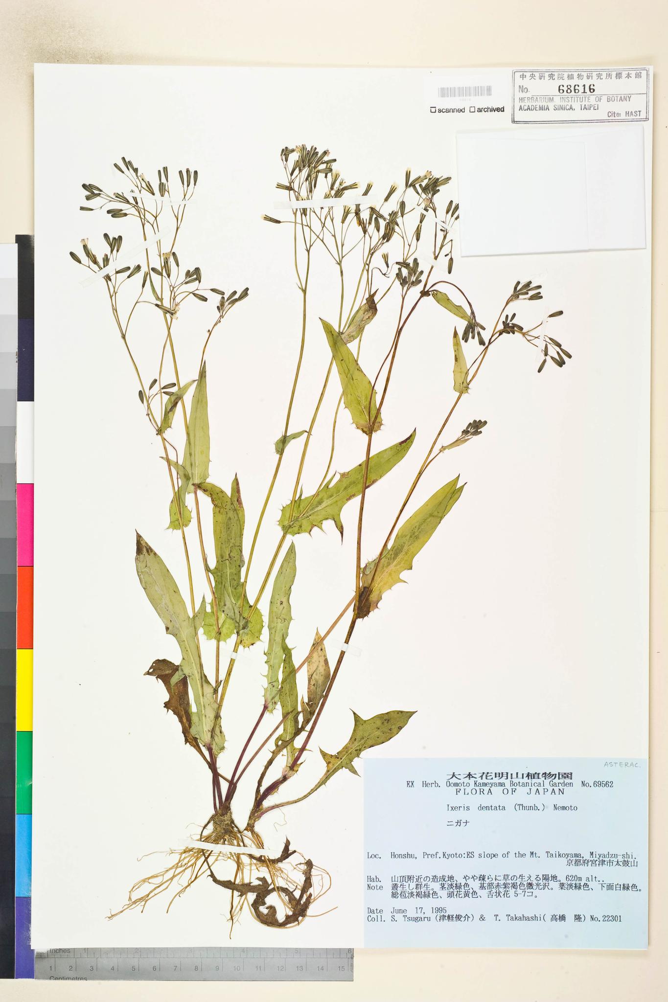 Specimen image