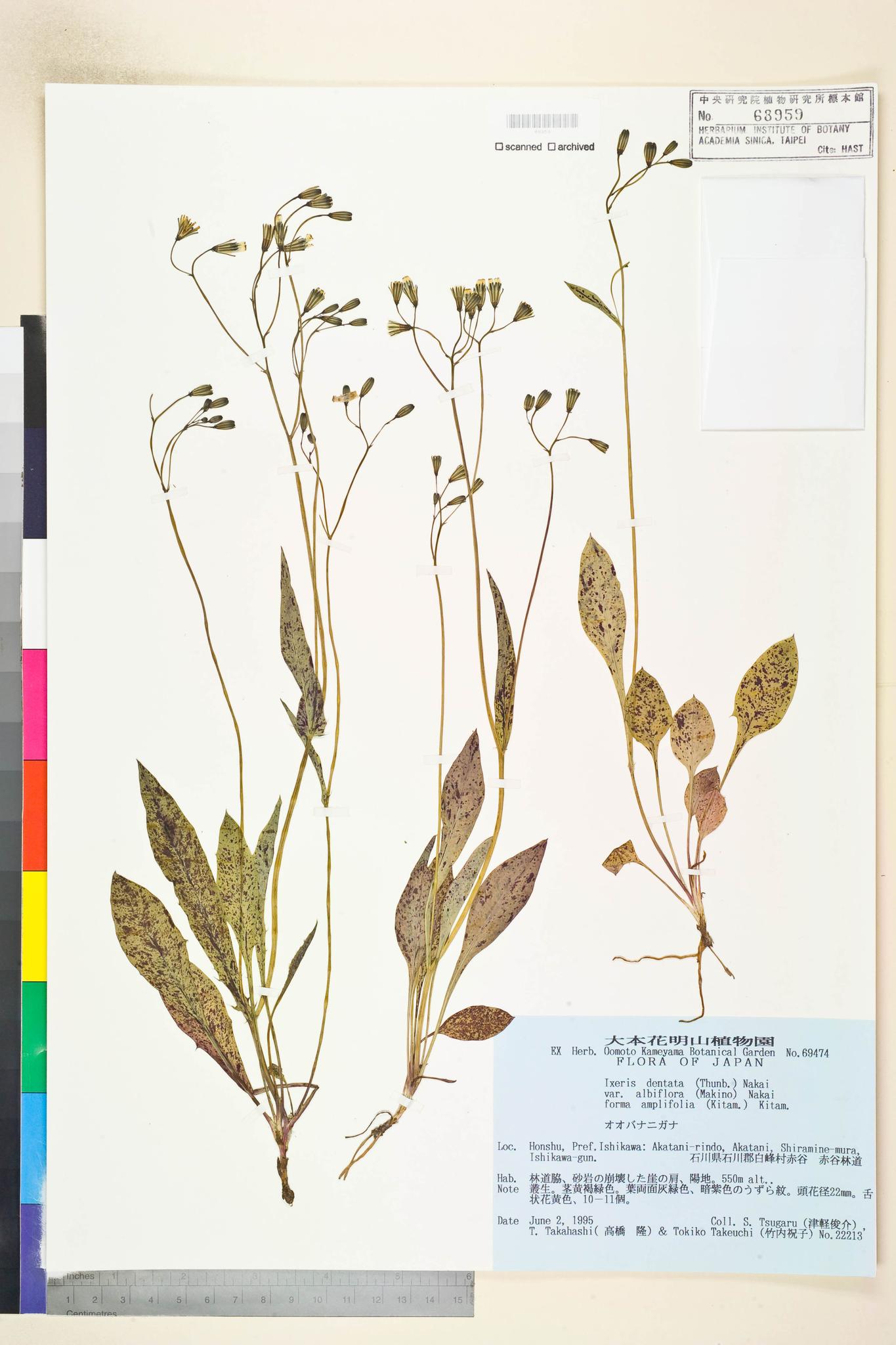 Specimen image