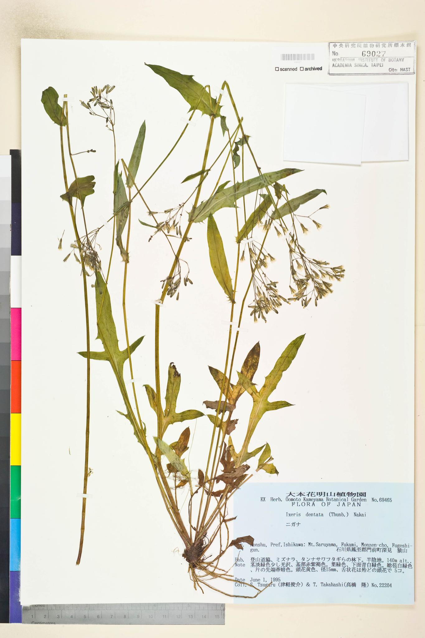 Sample image for viewer