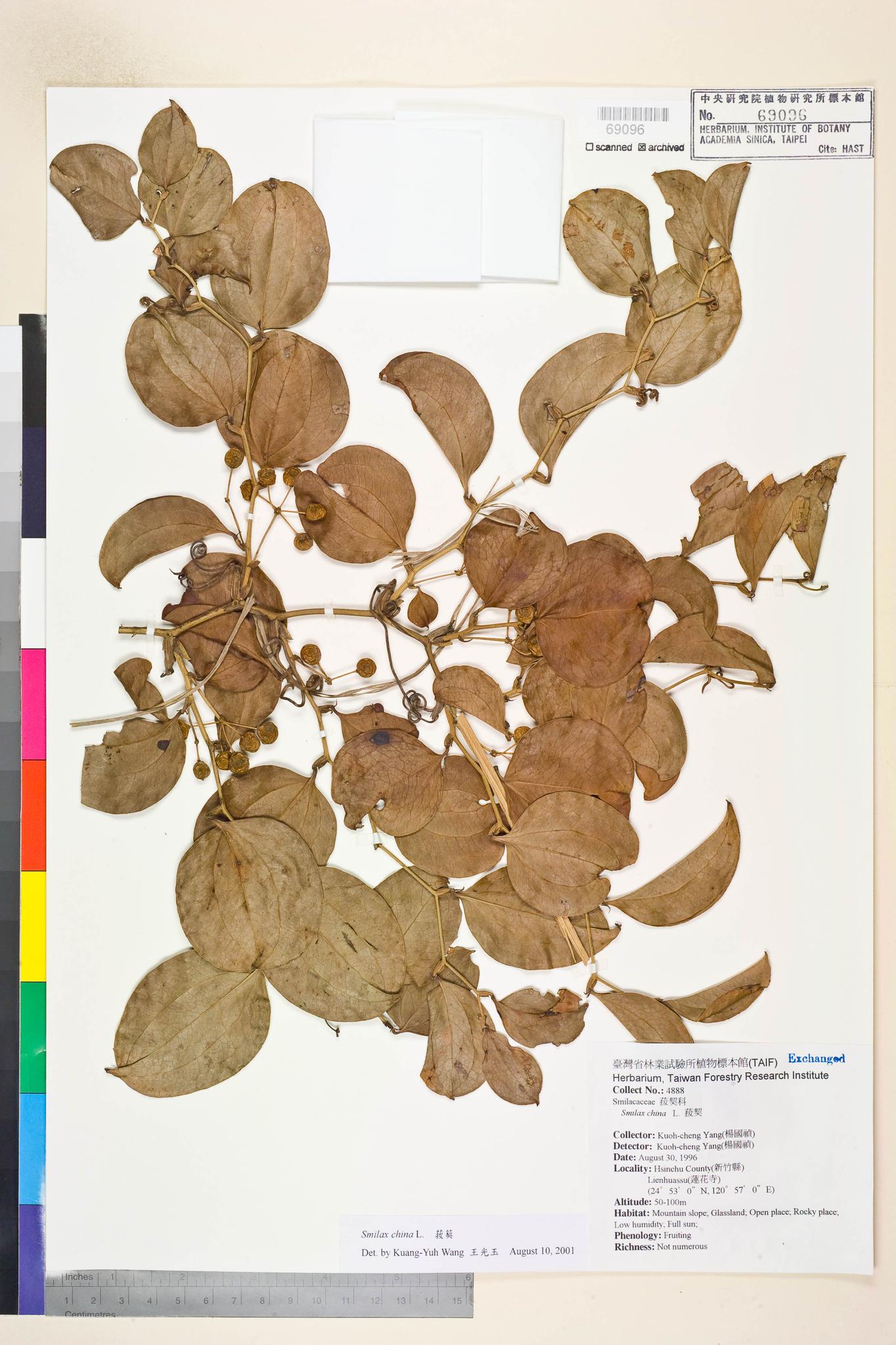 Specimen image