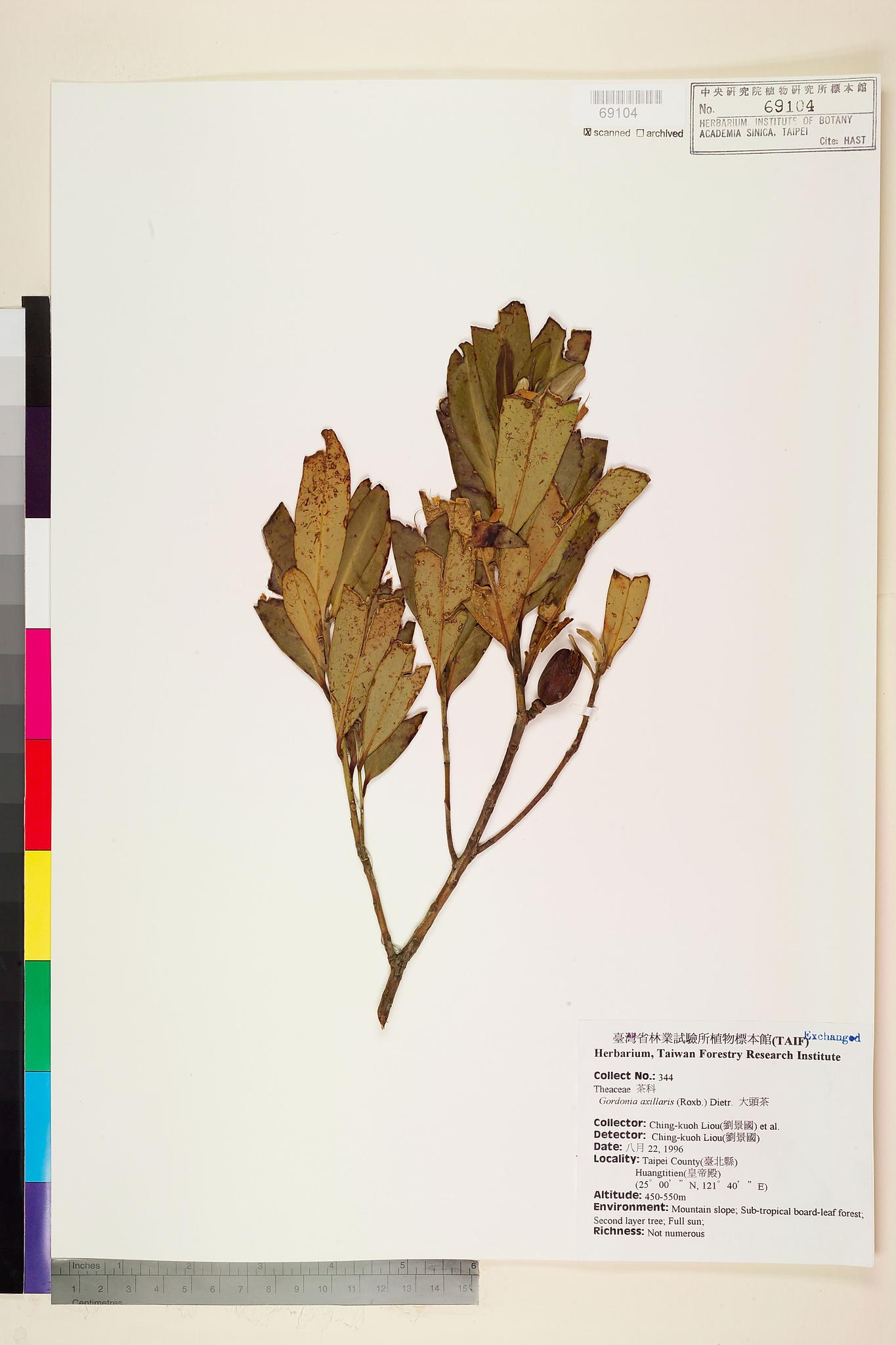 Sample image for viewer