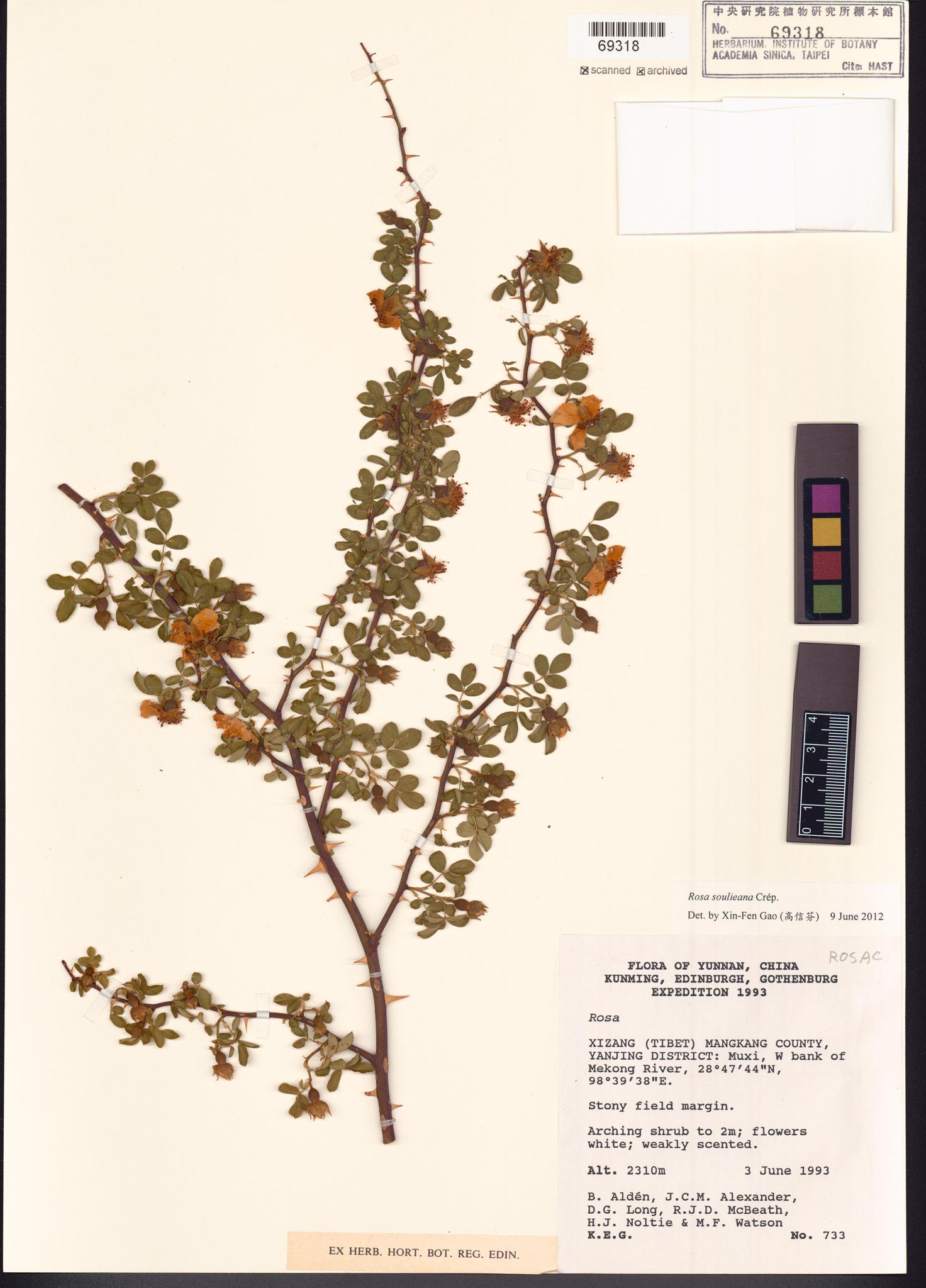 Sample image for viewer