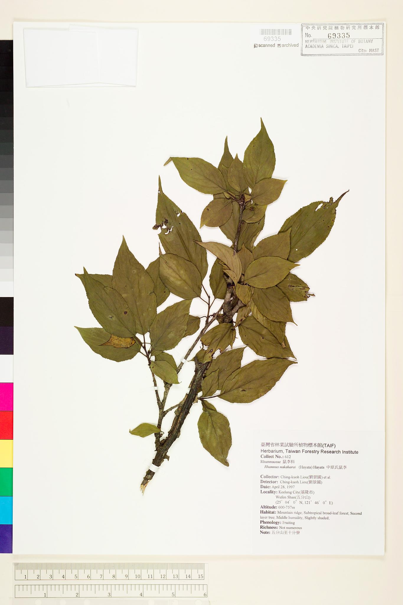 Sample image for viewer