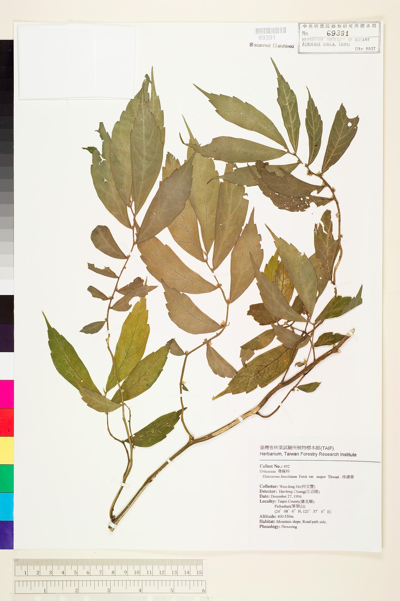 Sample image for viewer