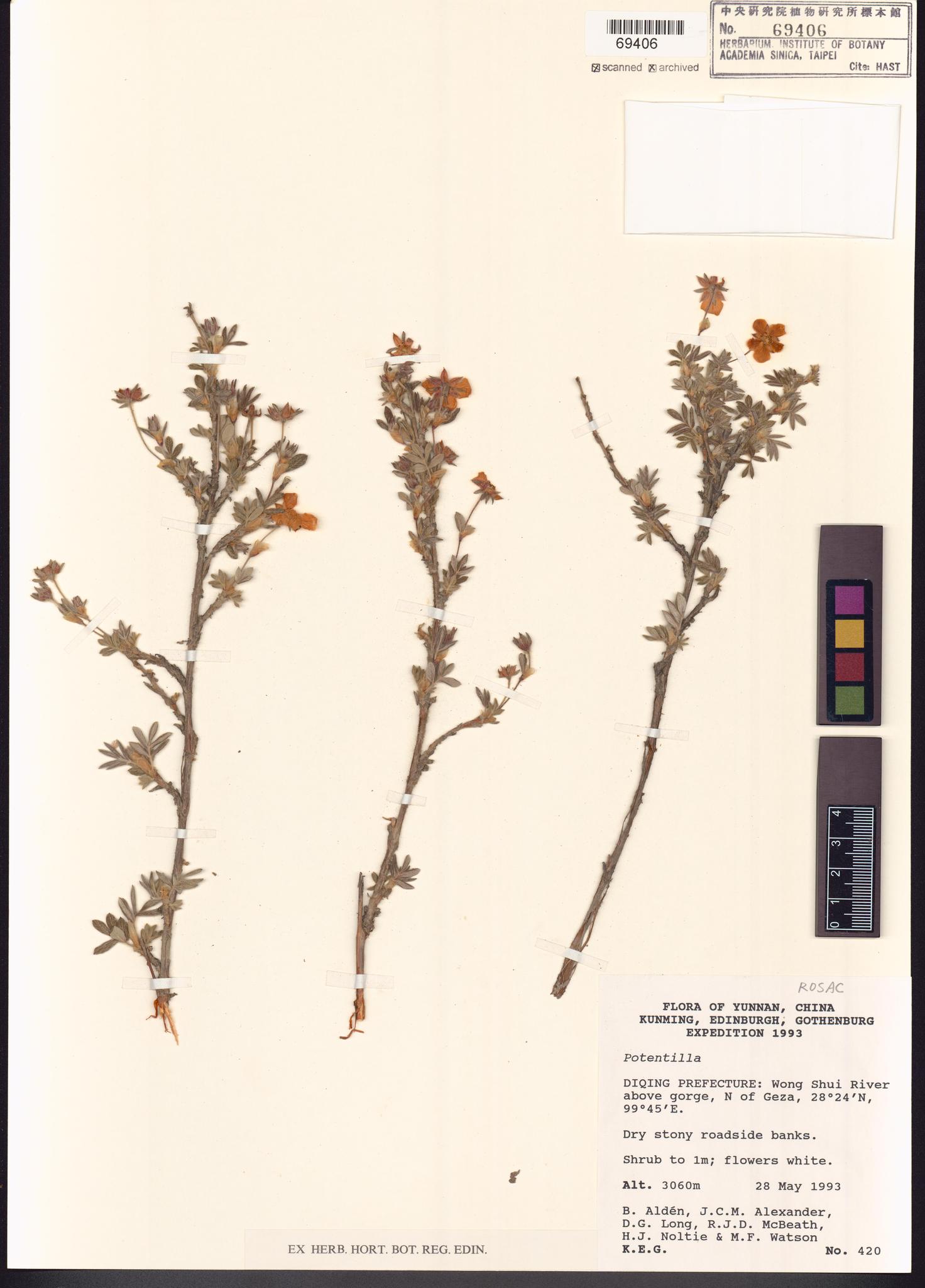 Specimen image