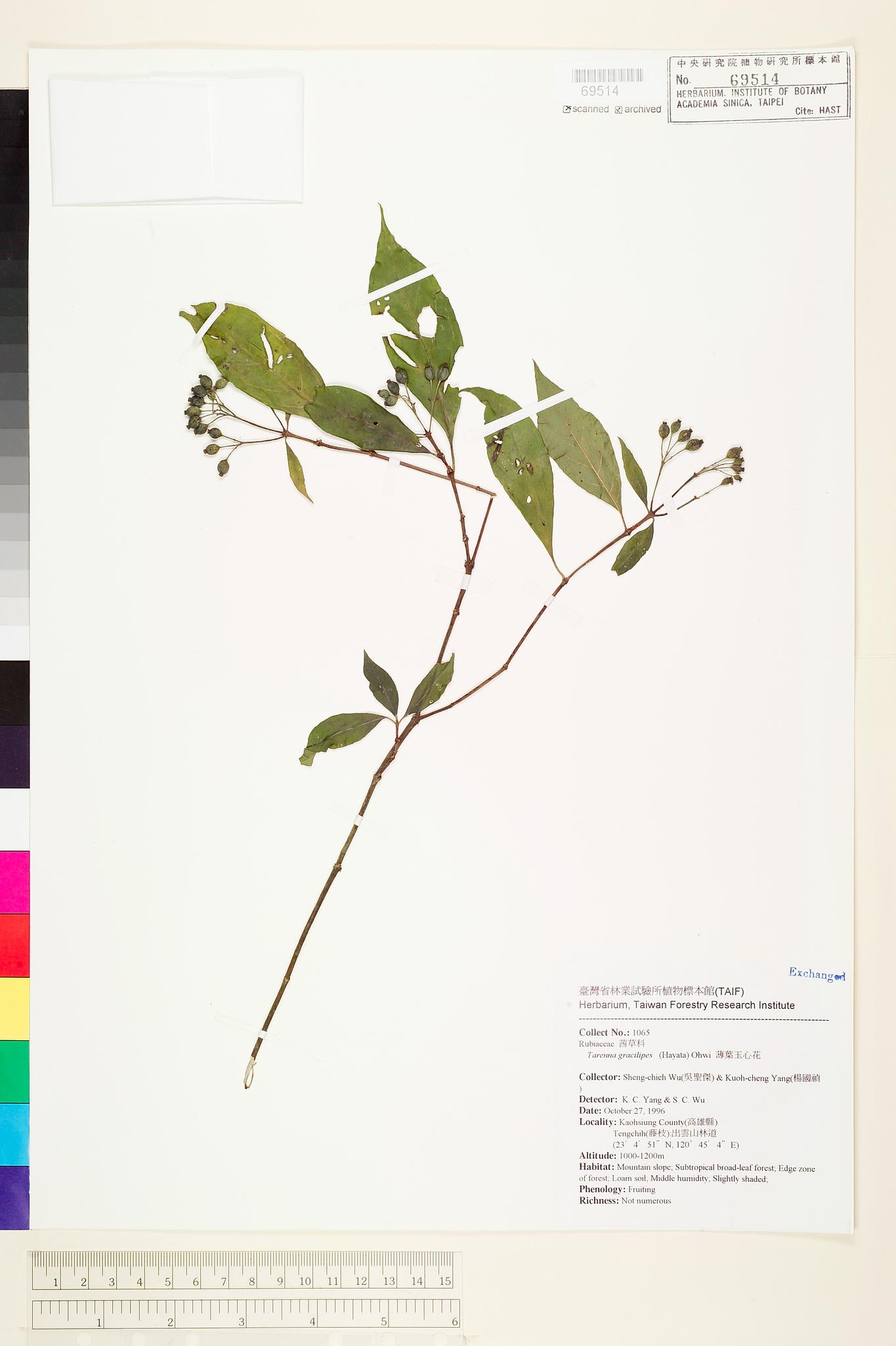 Sample image for viewer