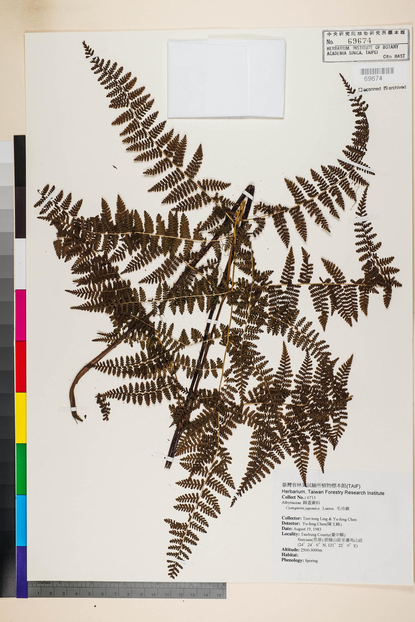 Sample image for viewer