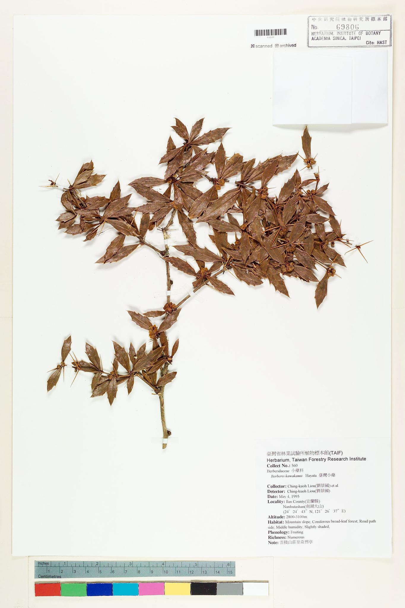 Sample image for viewer