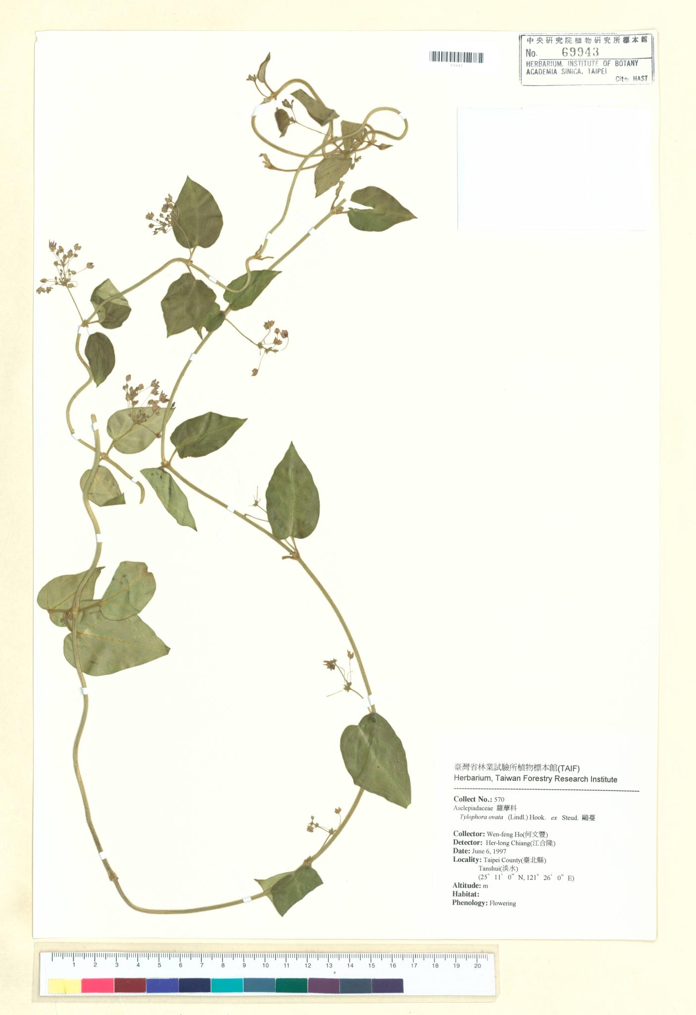 Sample image for viewer