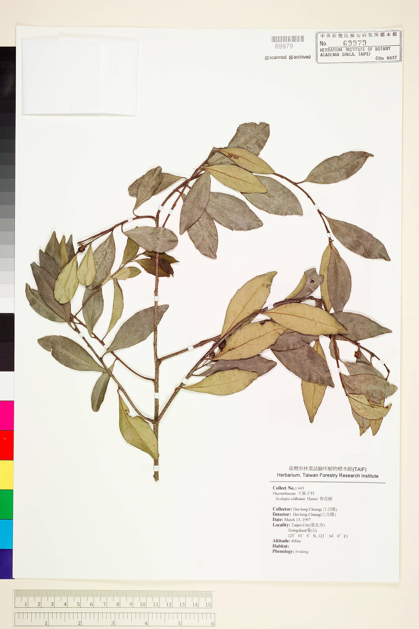 Sample image for viewer