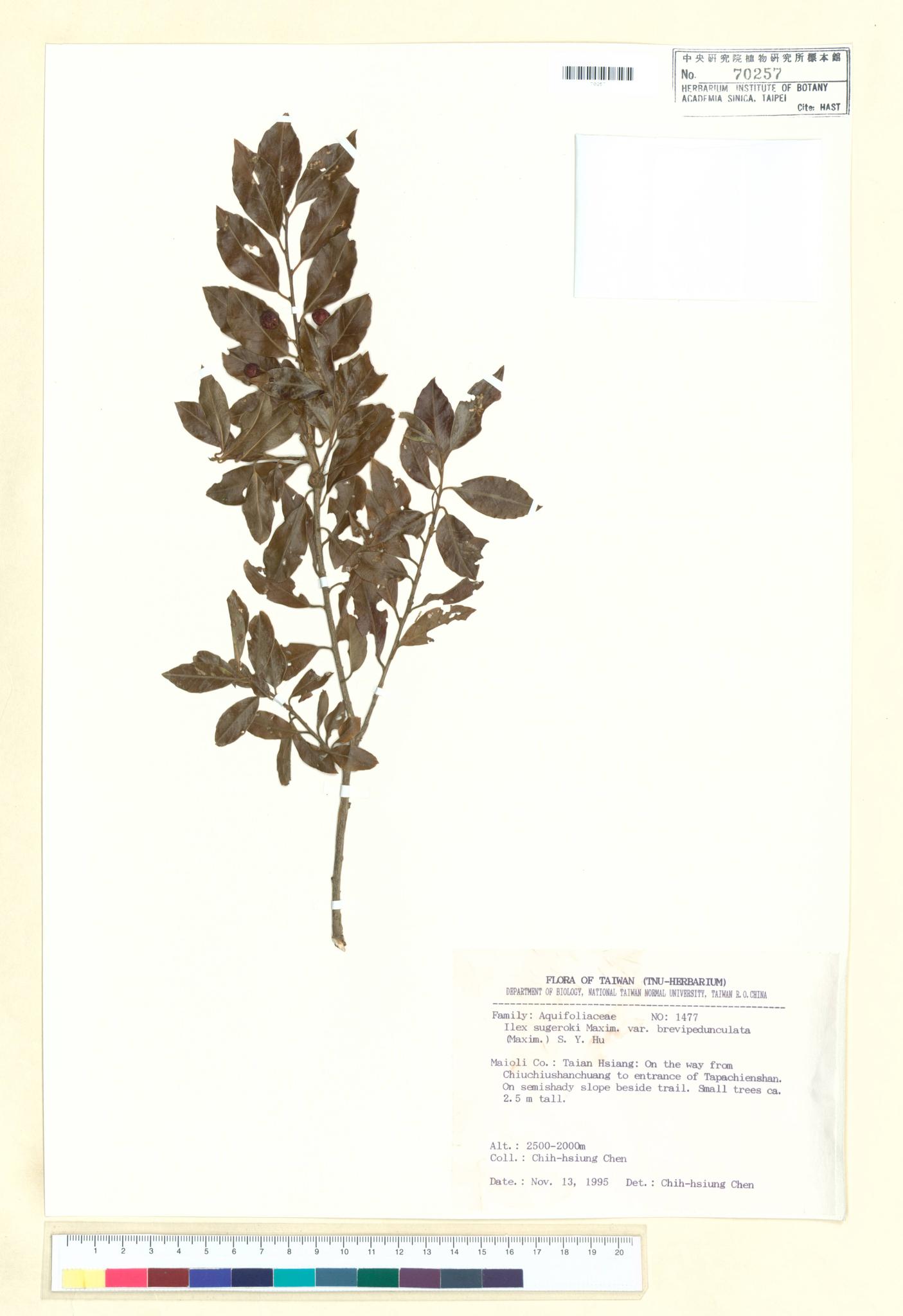 Sample image for viewer