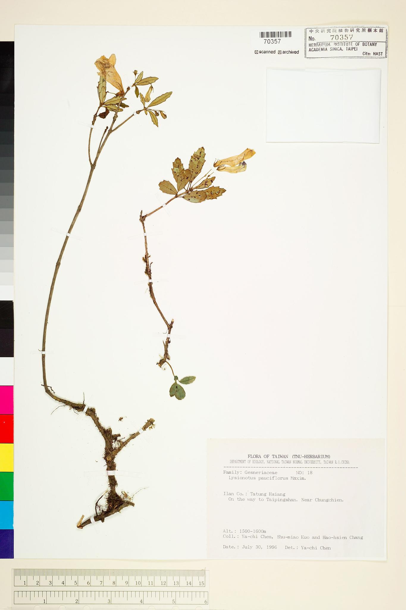 Sample image for viewer