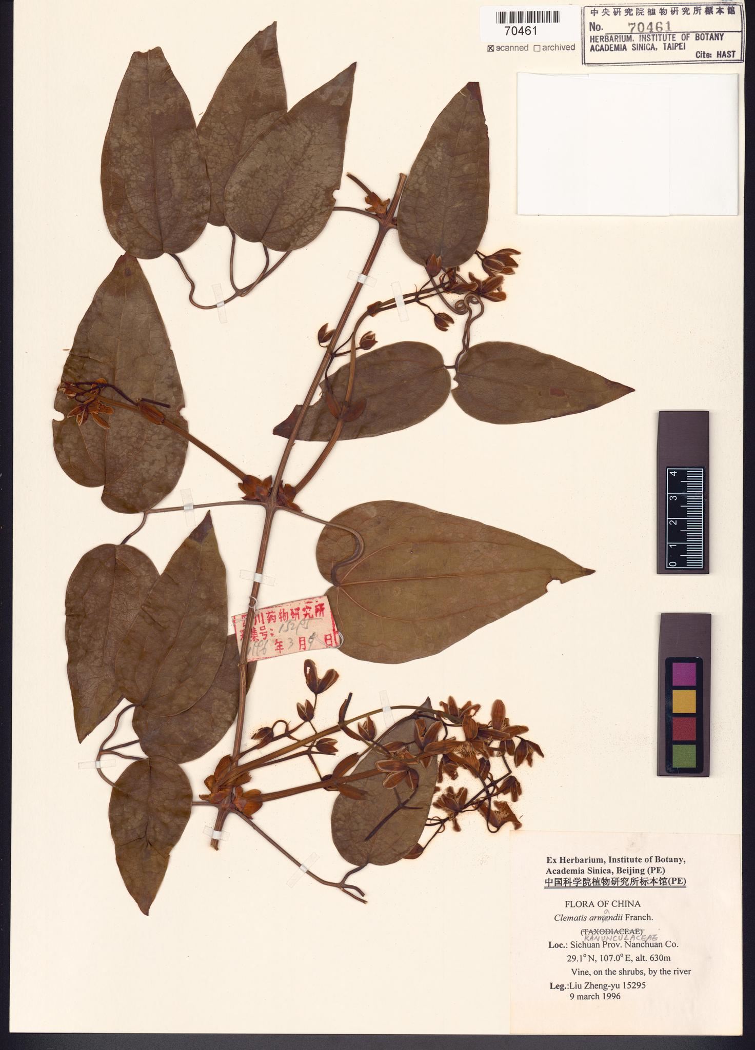 Sample image for viewer