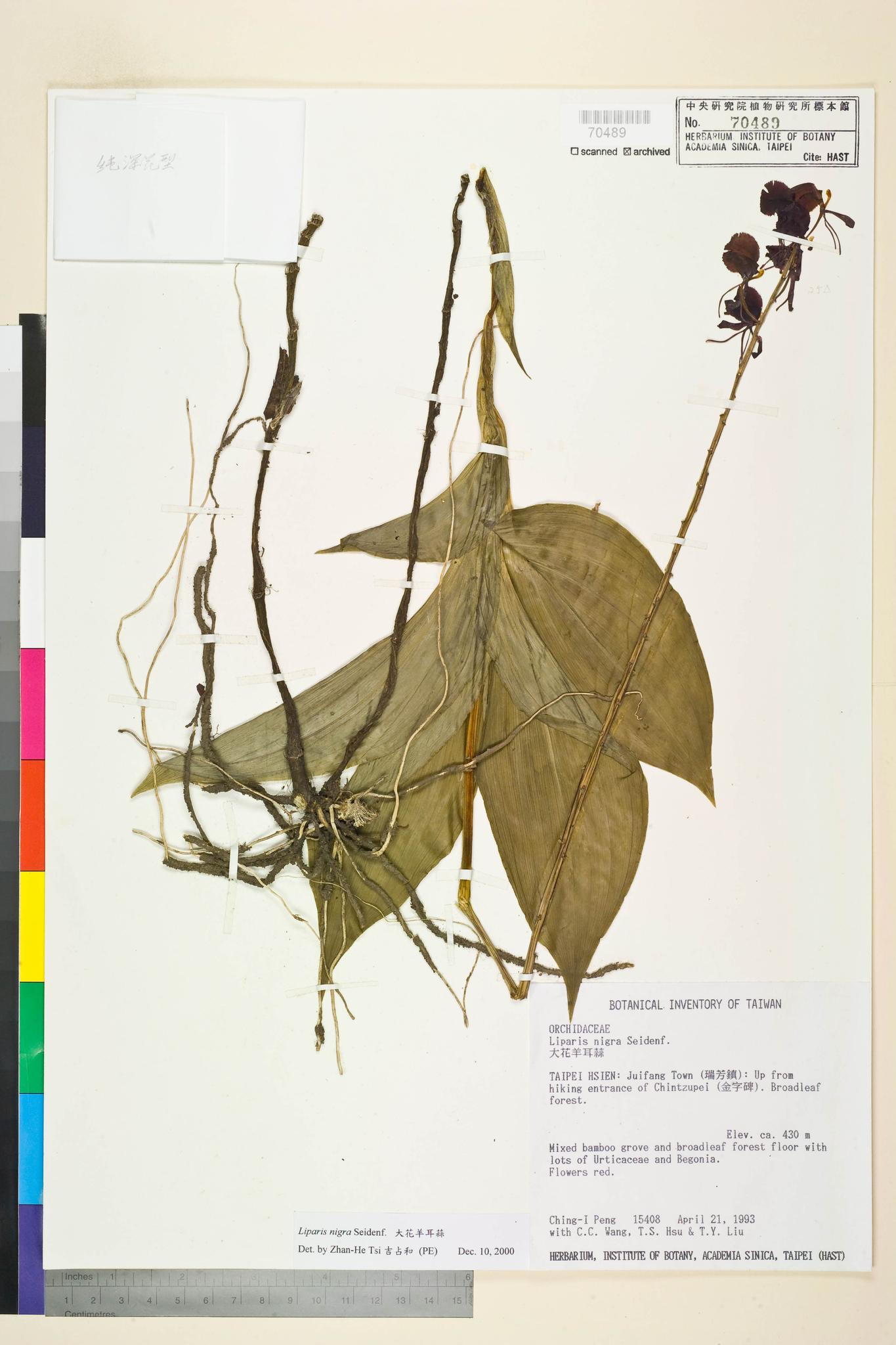 Sample image for viewer