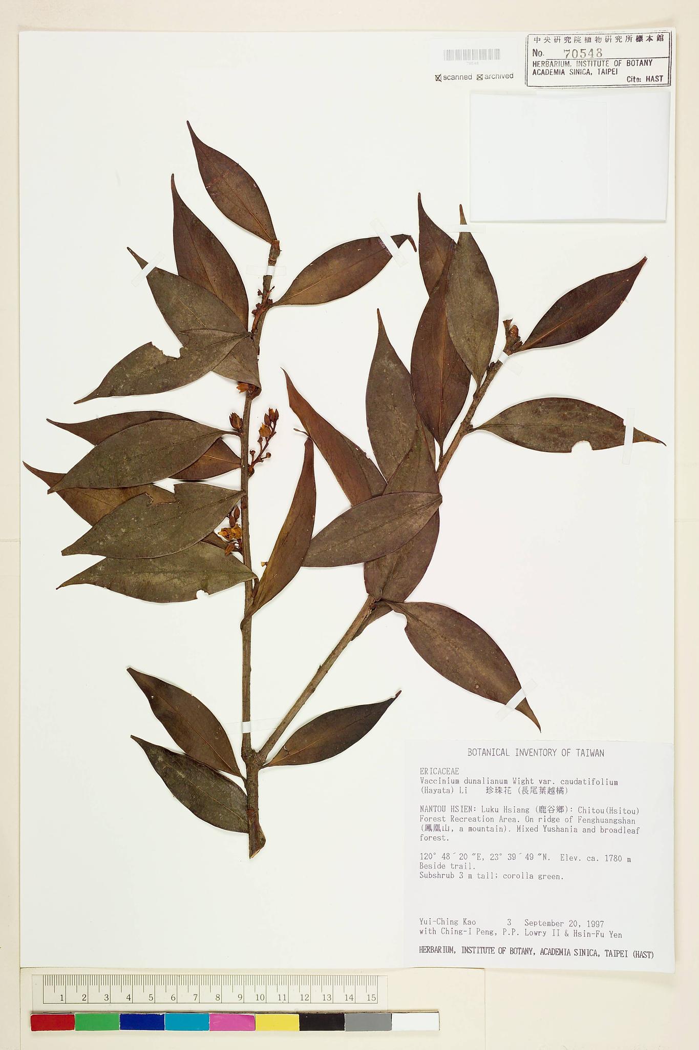 Sample image for viewer