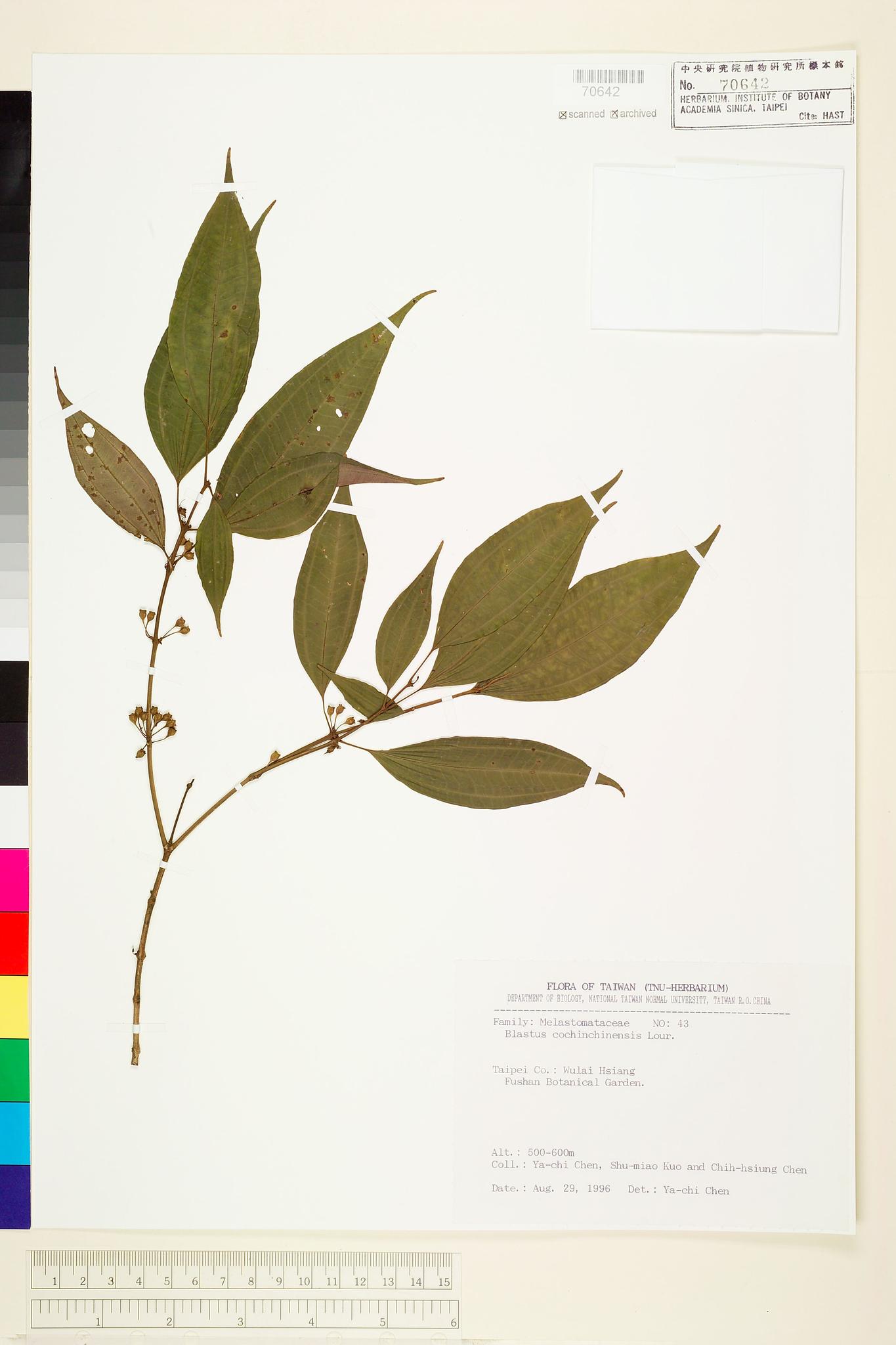 Sample image for viewer