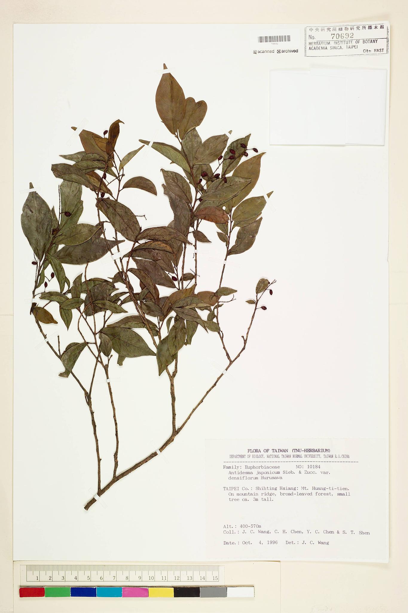 Sample image for viewer