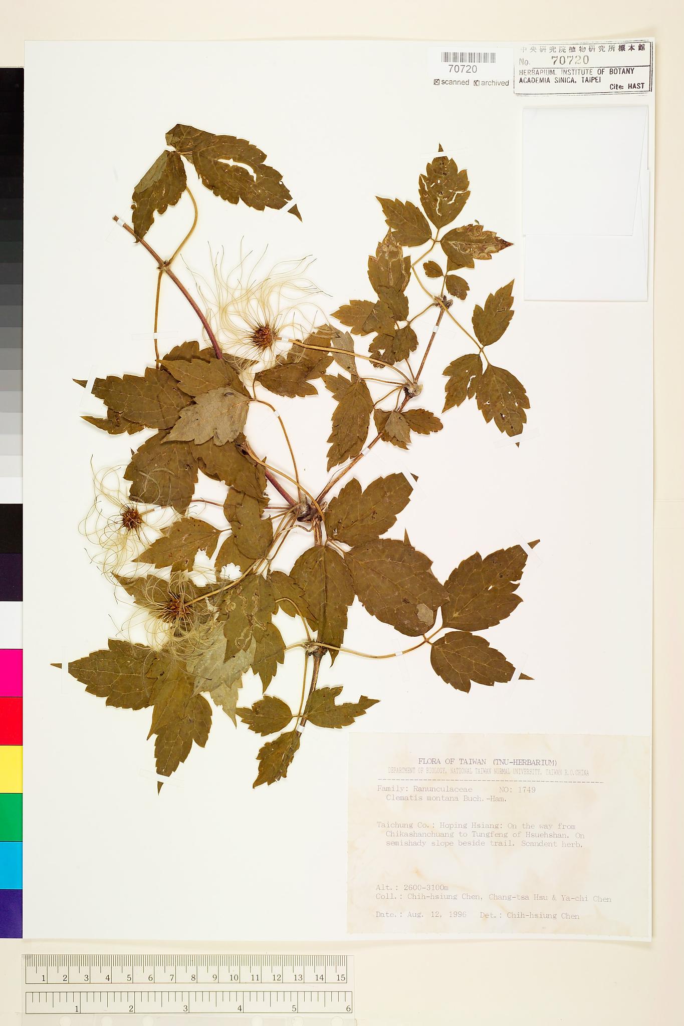 Sample image for viewer