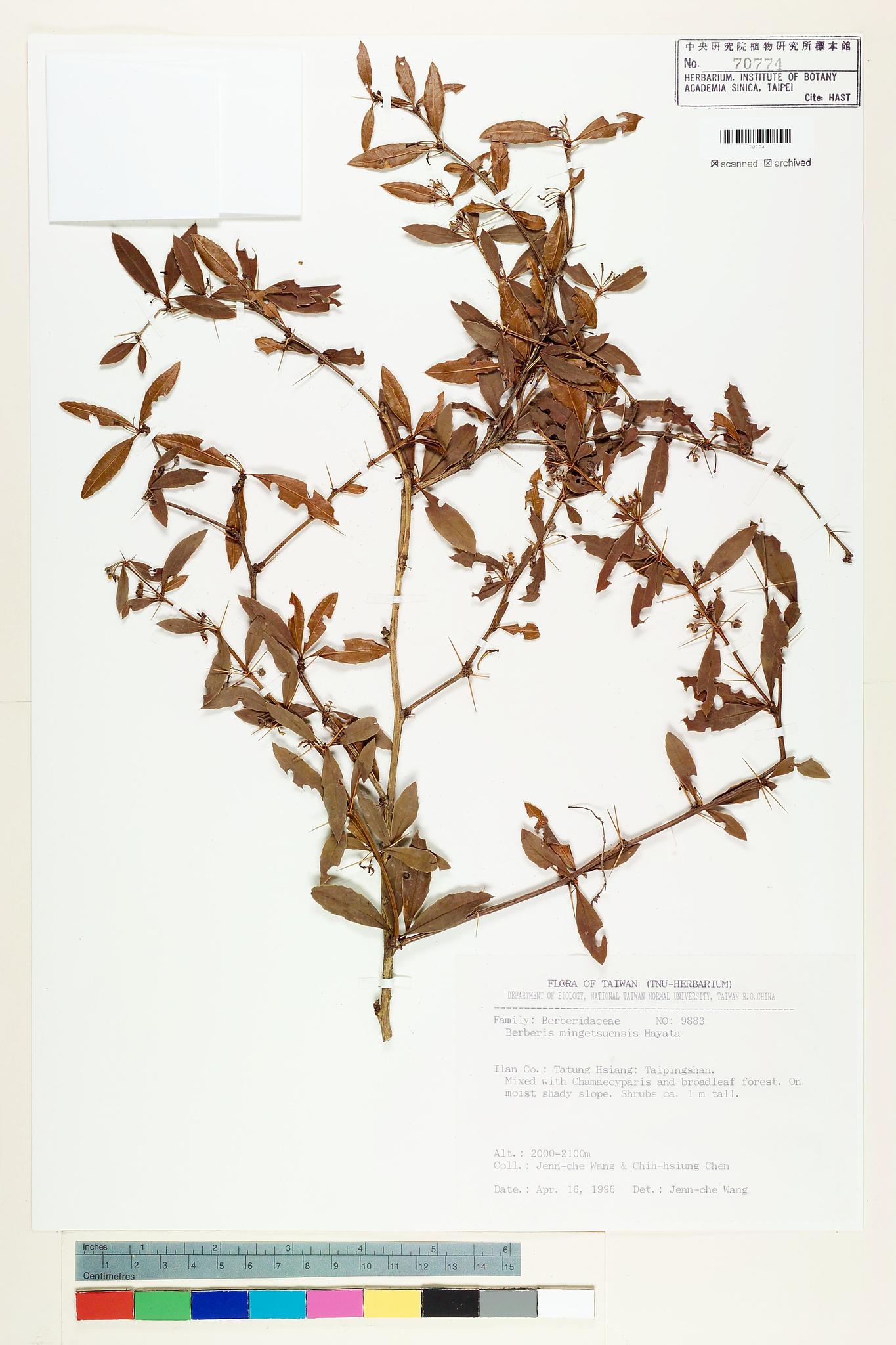 Sample image for viewer