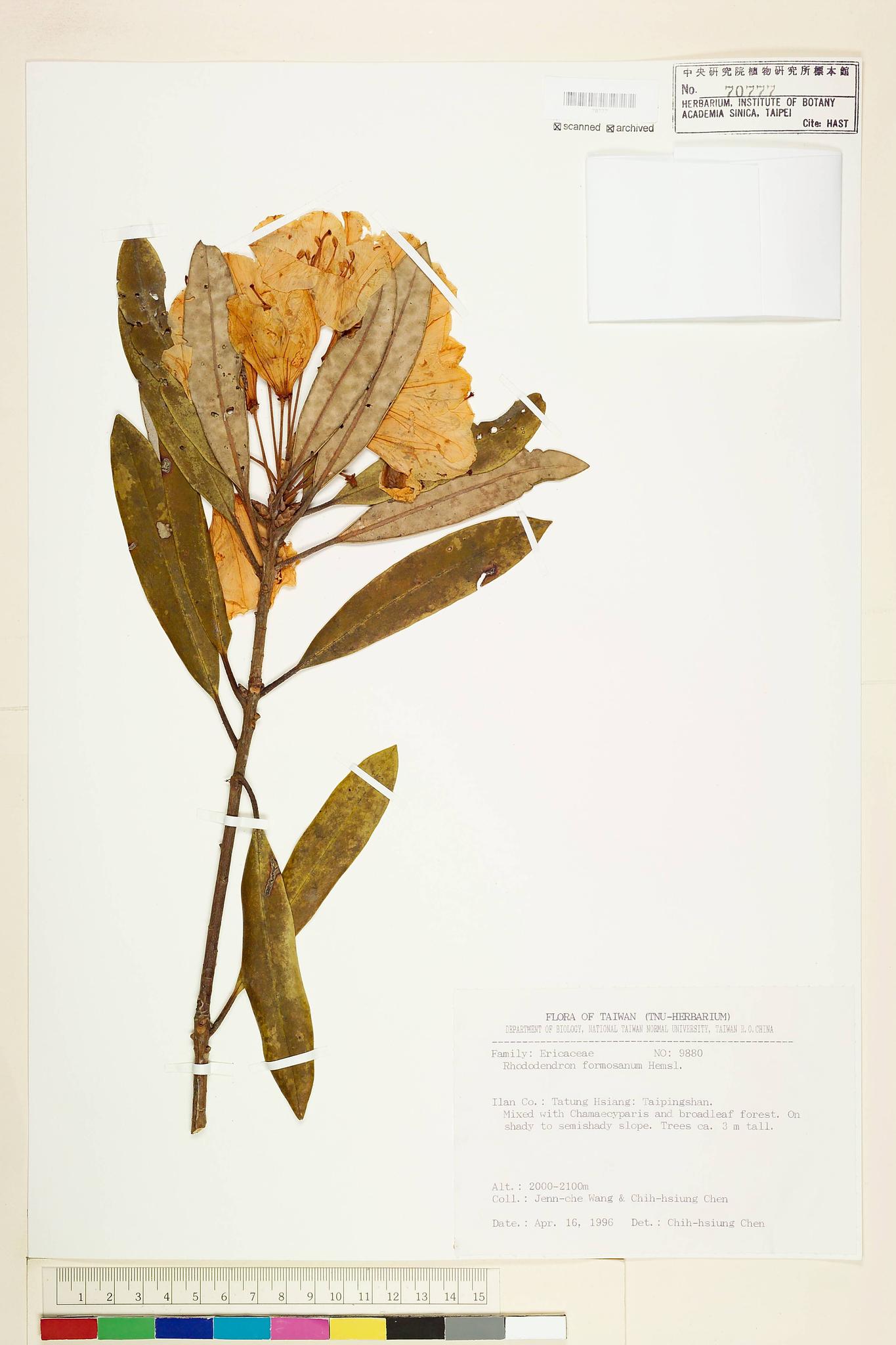 Sample image for viewer