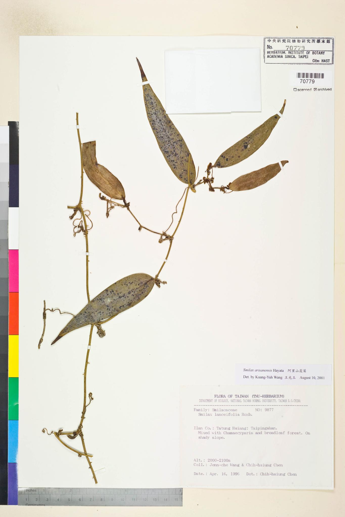 Sample image for viewer