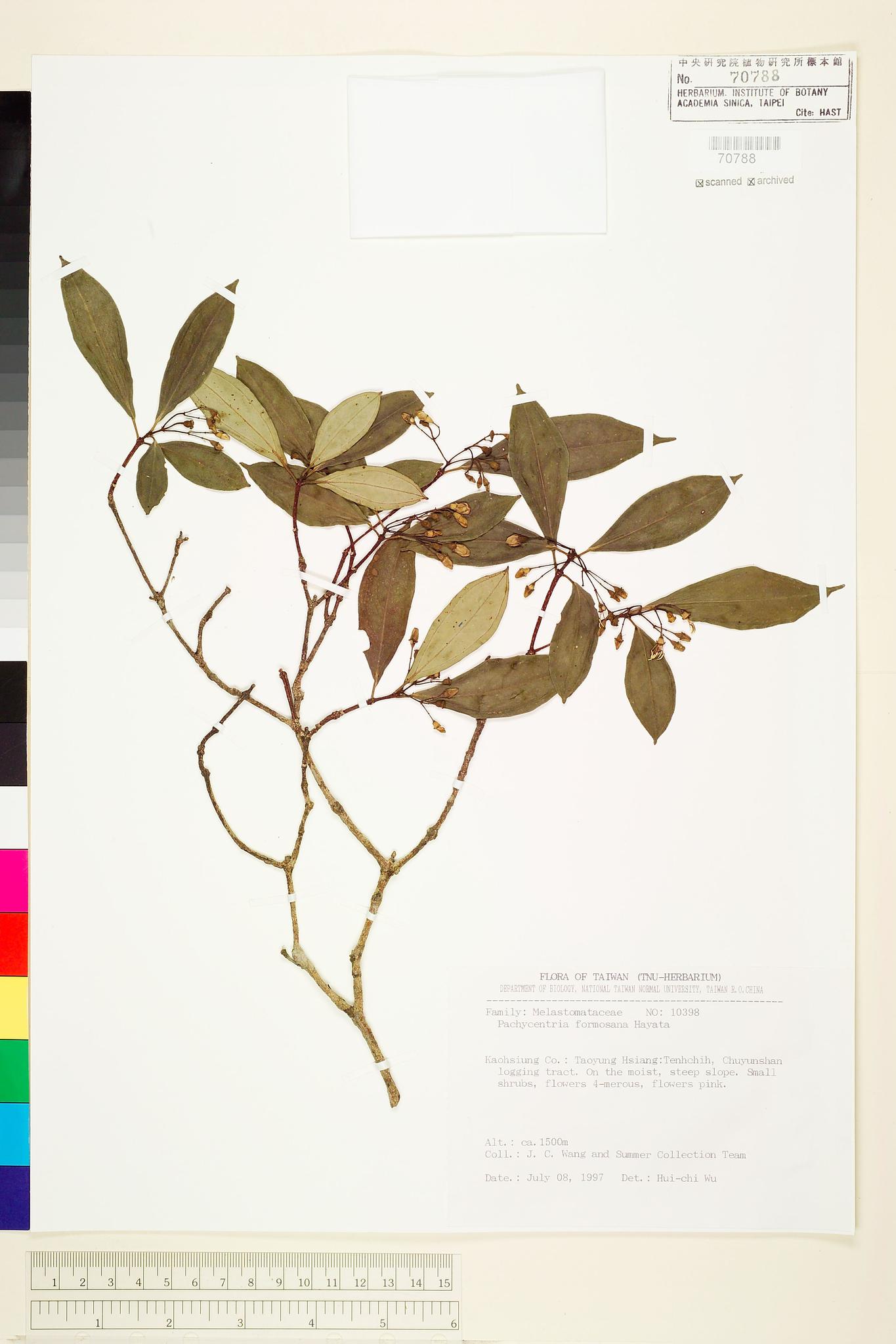 Sample image for viewer