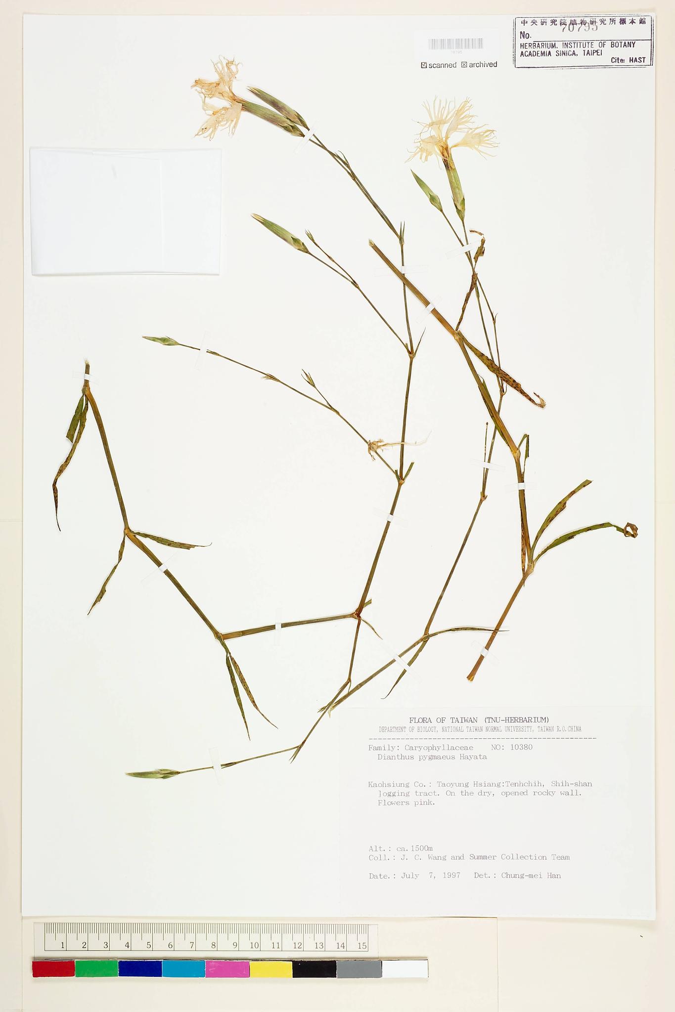 Sample image for viewer