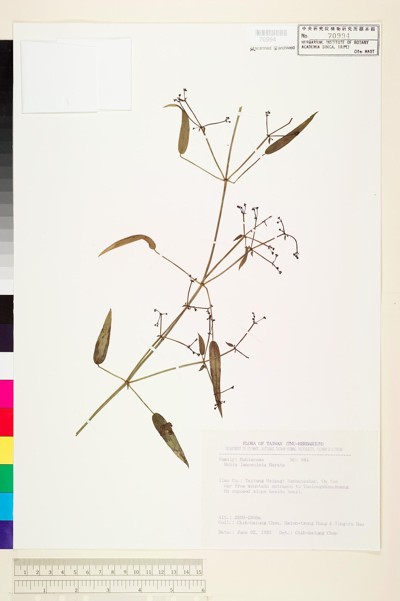 Sample image for viewer