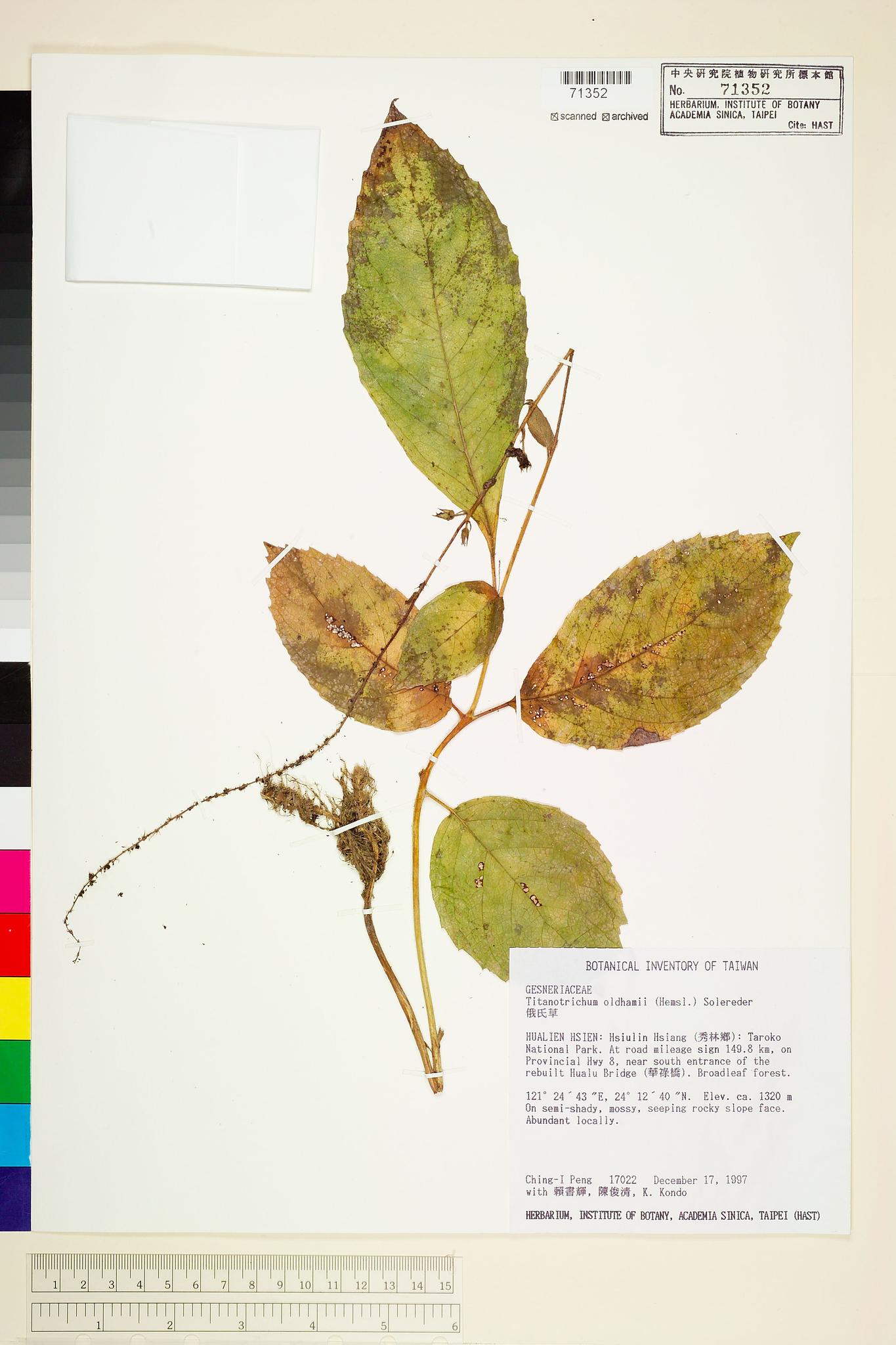 Sample image for viewer