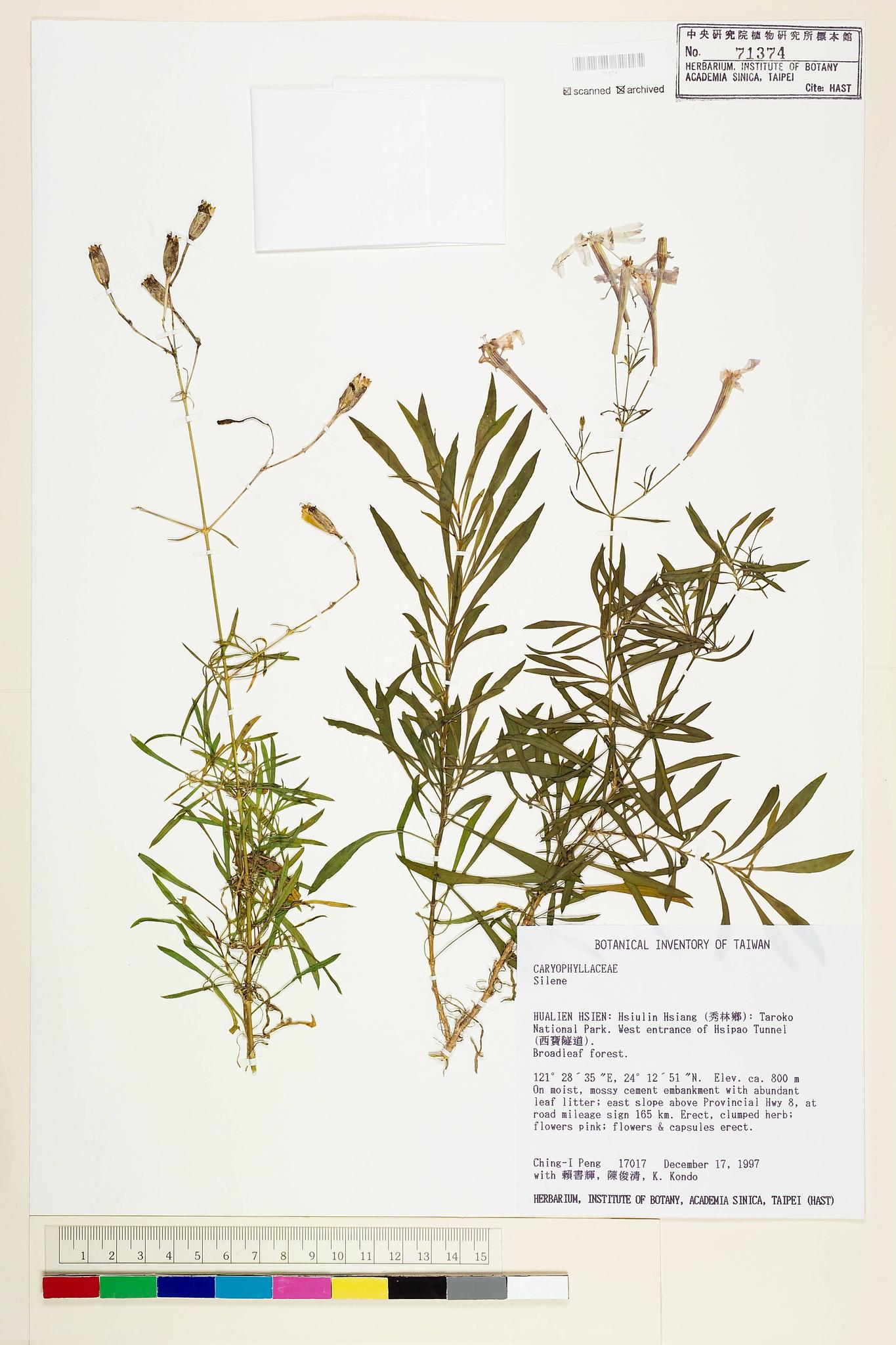 Sample image for viewer