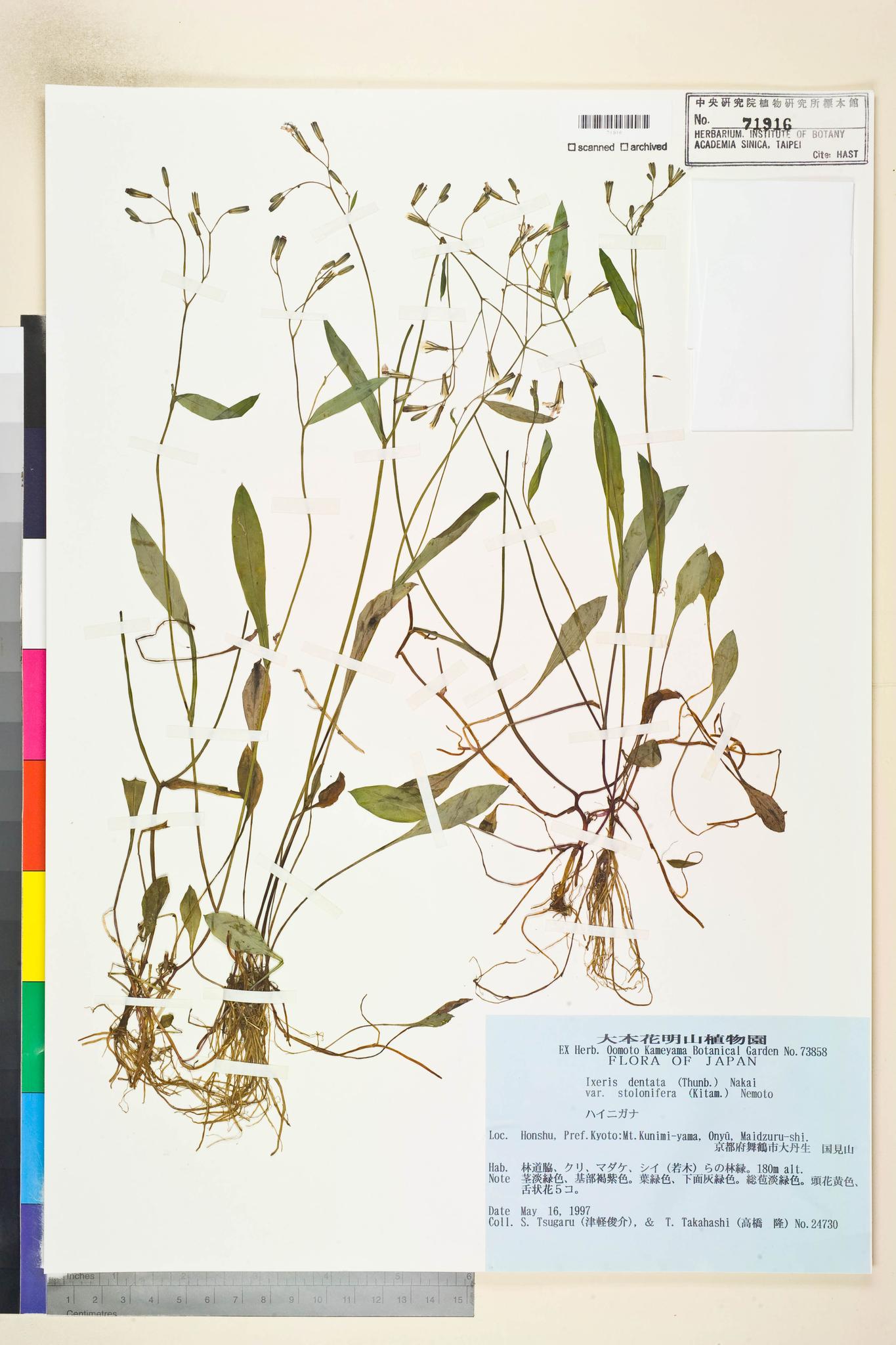 Specimen image