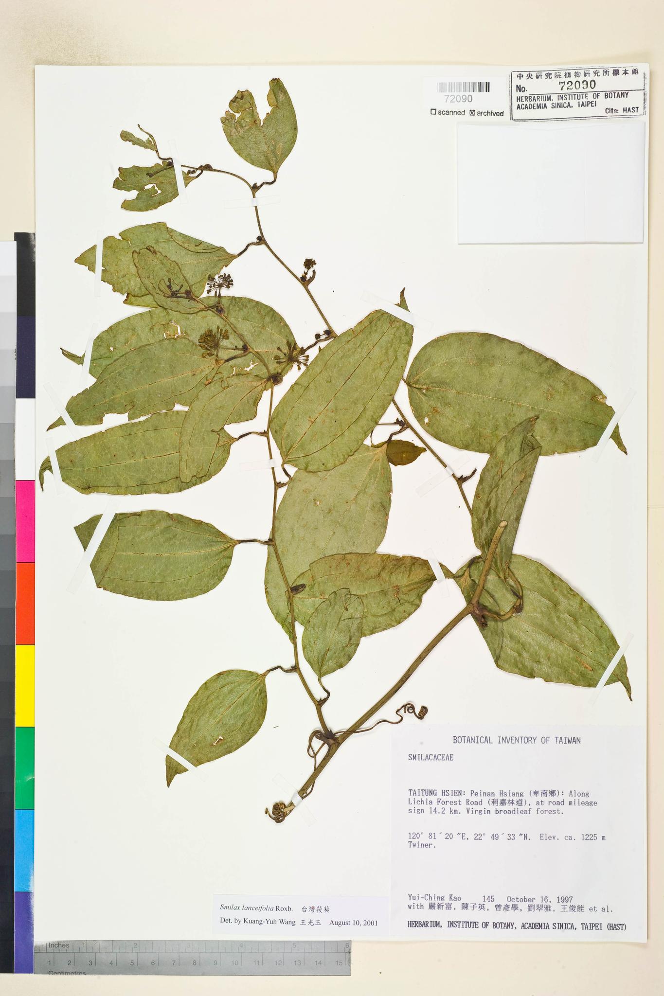 Sample image for viewer