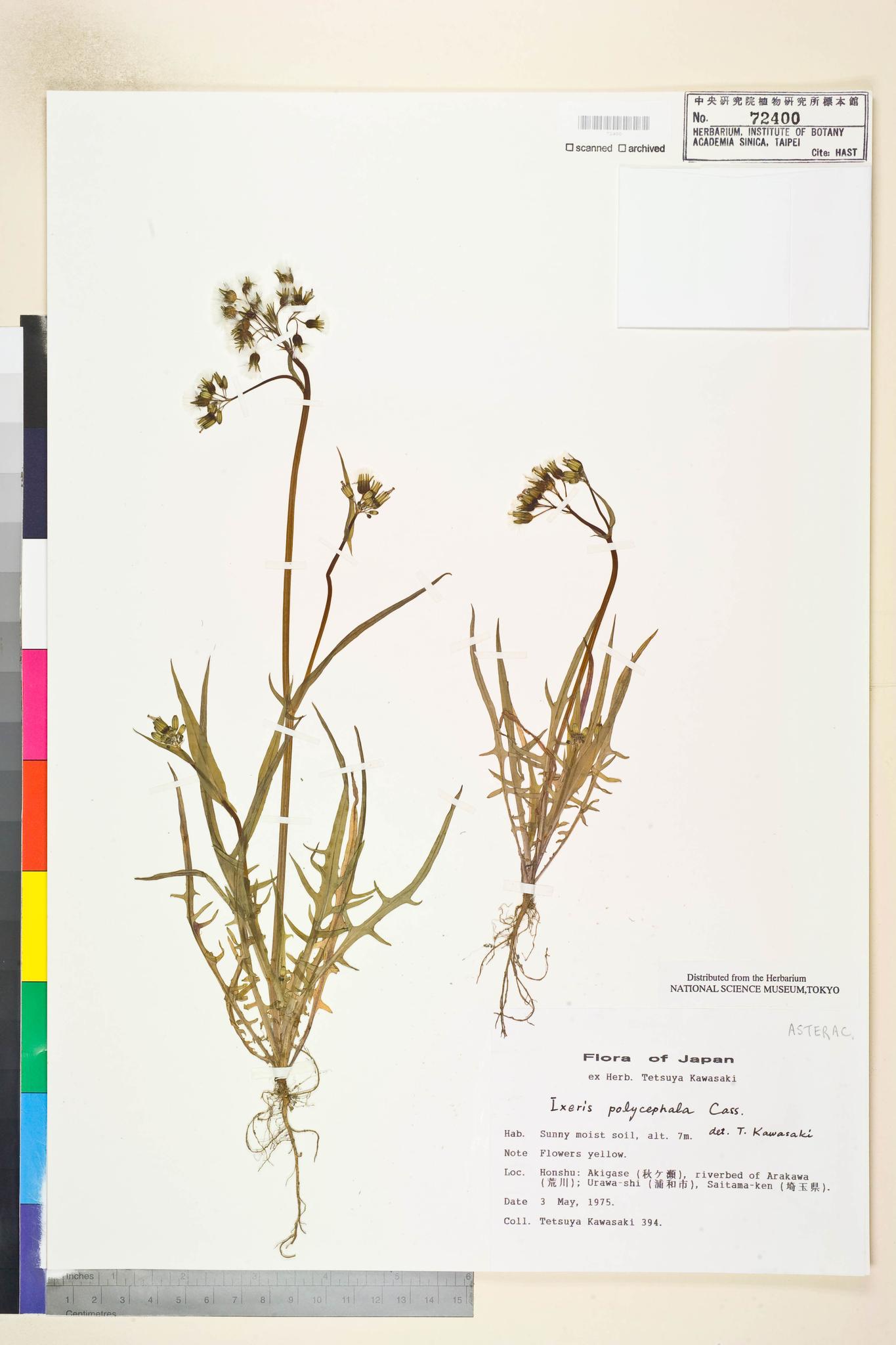 Specimen image