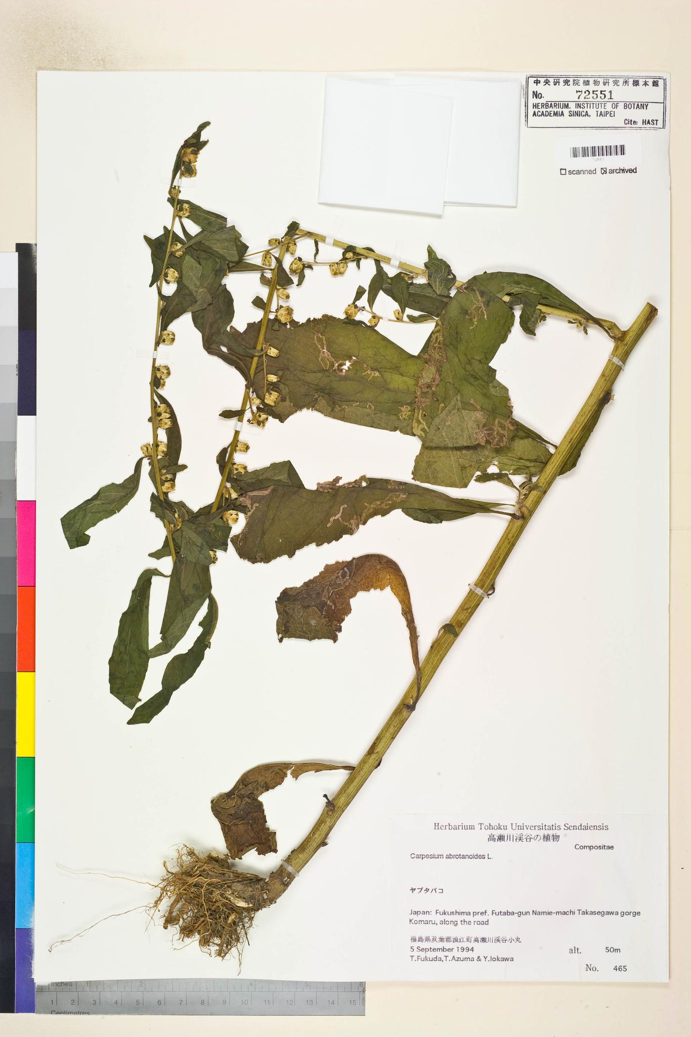 Specimen image