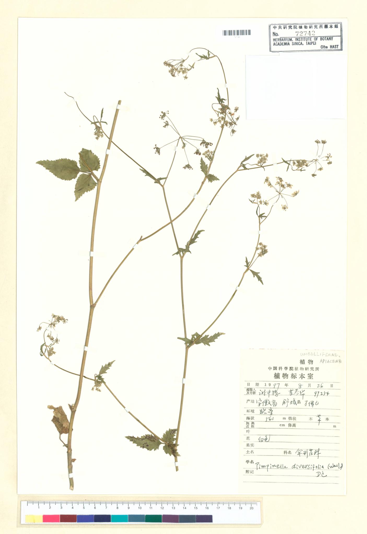 Specimen image