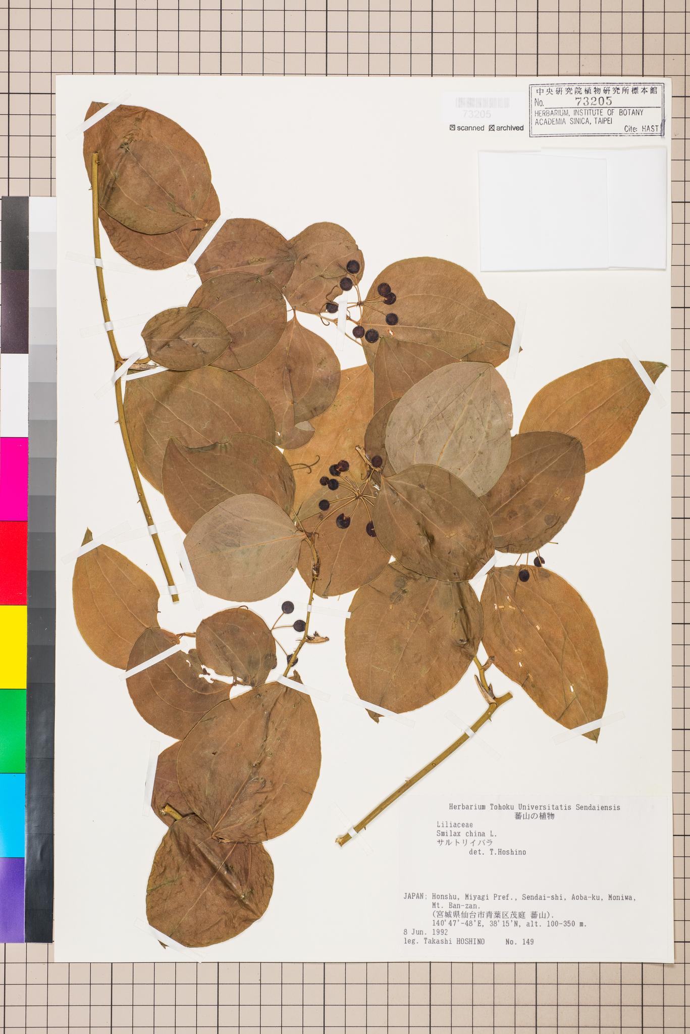 Specimen image