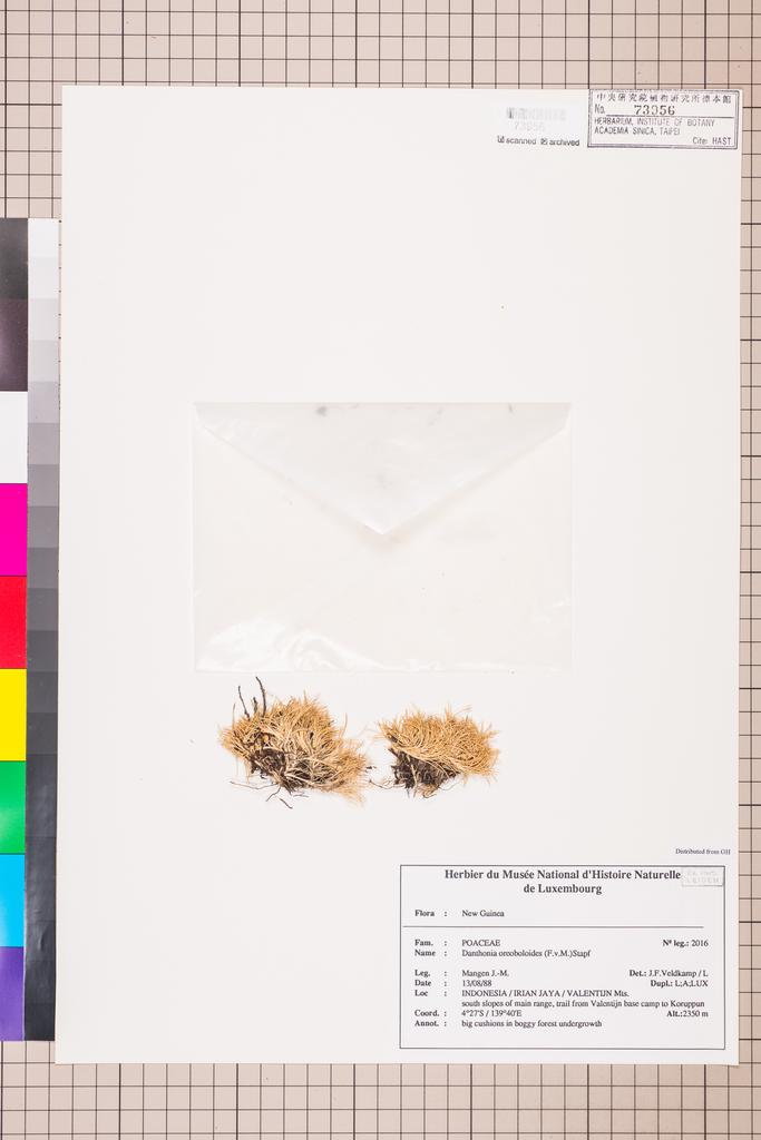 <Unit #108989  | 2016:: | Danthonia oreoboloides (F. Muell.) Stapf>