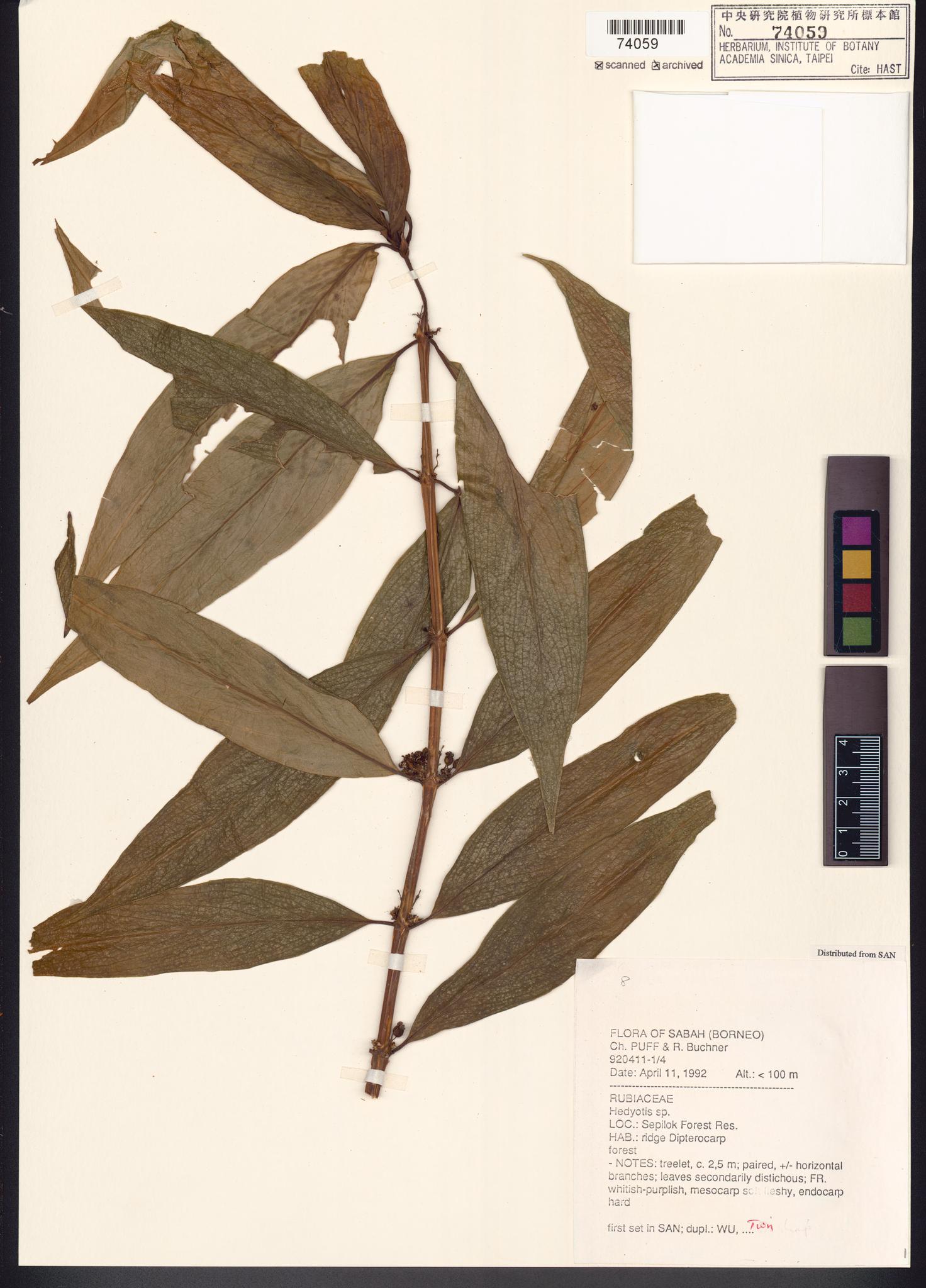 Sample image for viewer