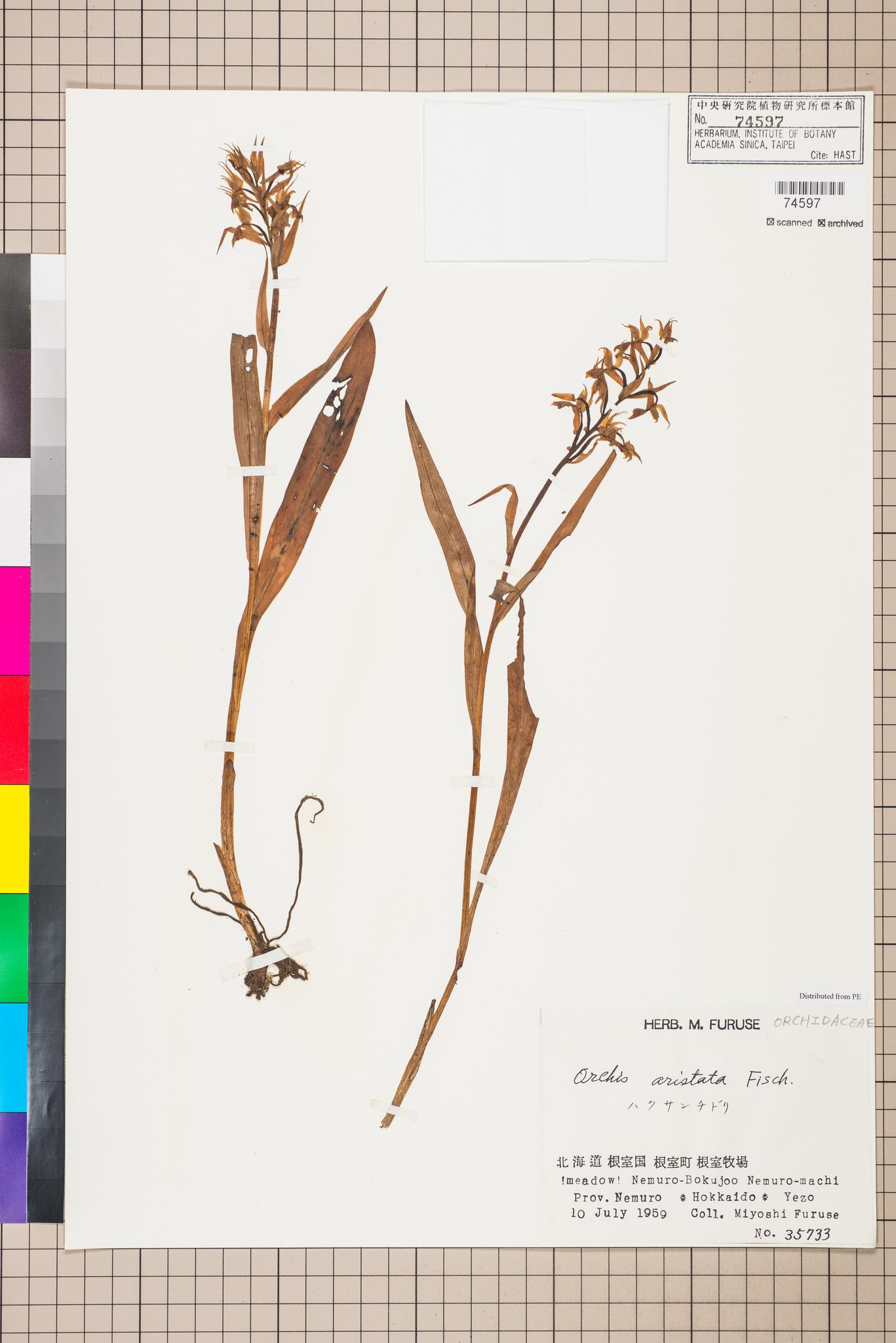 Sample image for viewer