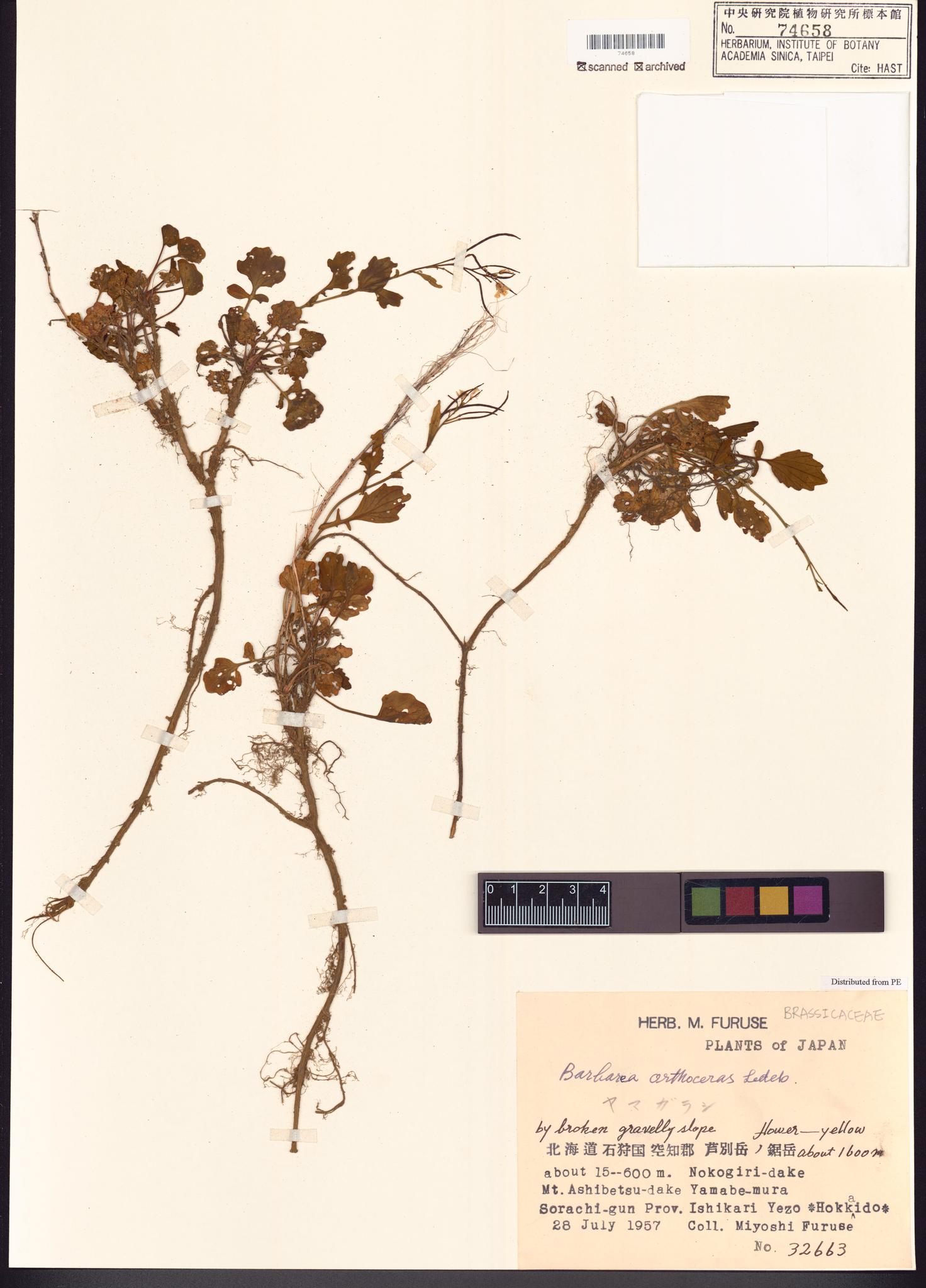 Sample image for viewer